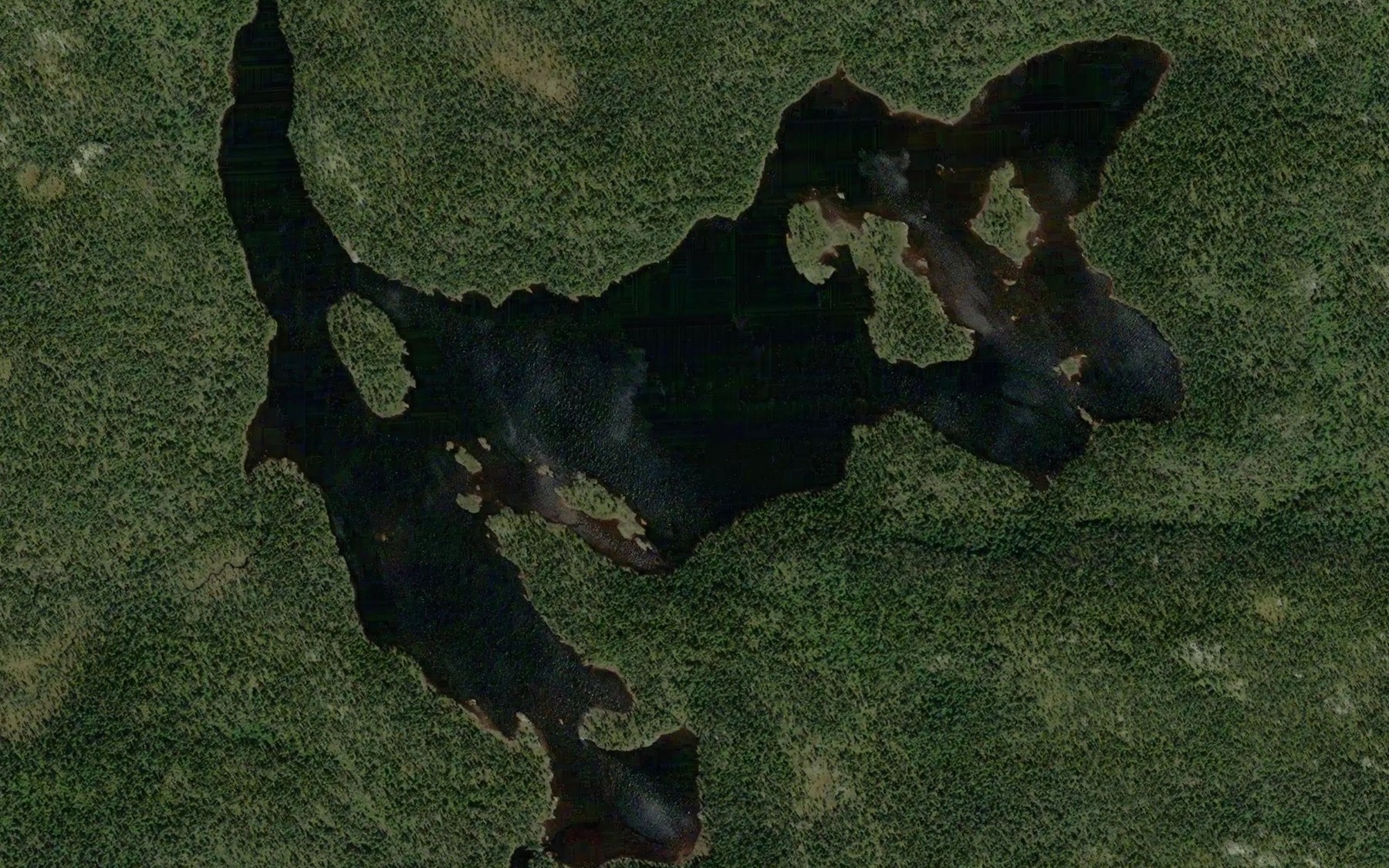 Satellite map of the Lac du Sommet