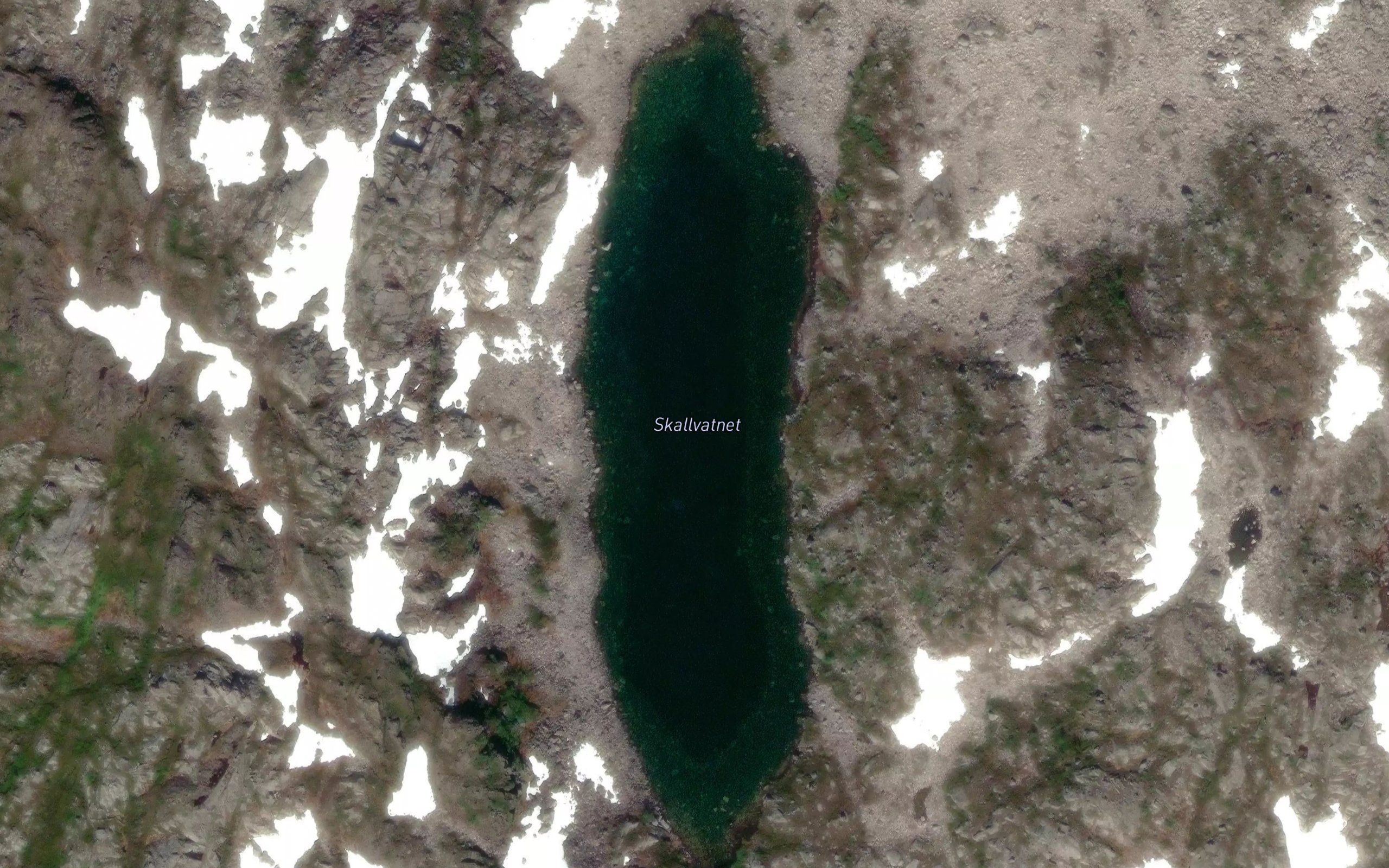 Skallvannet