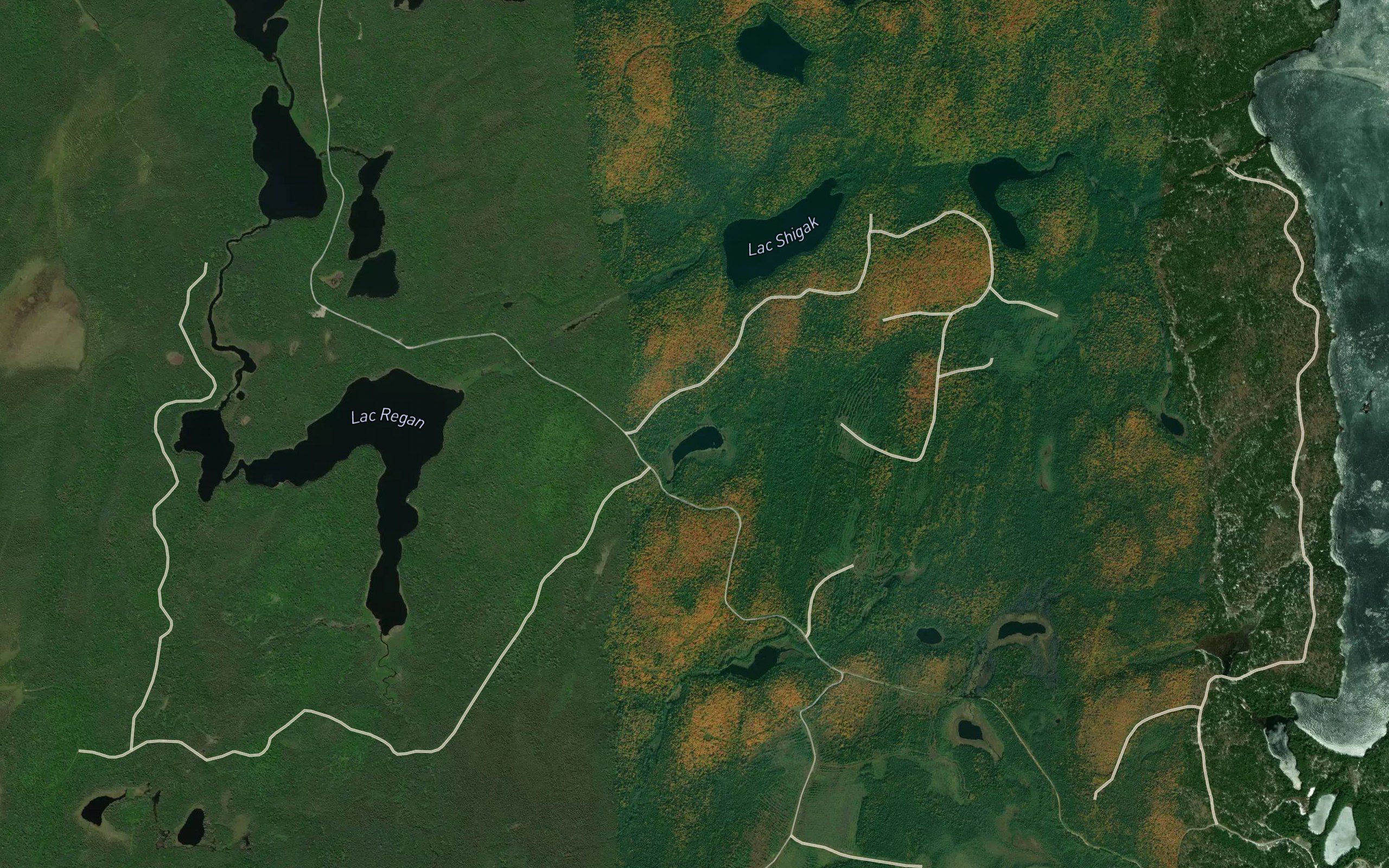 Lac des Alismas