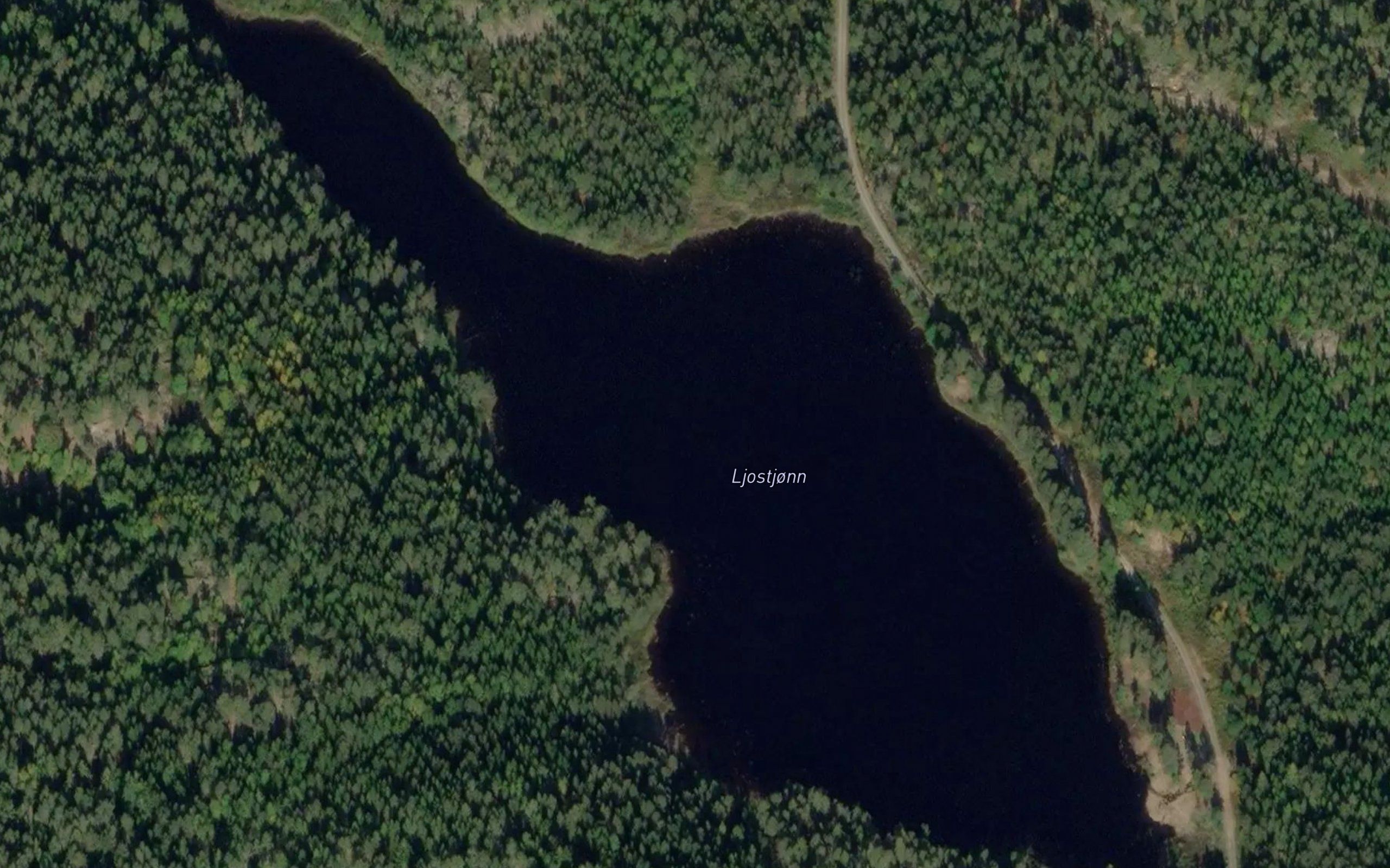 Ljostjorn