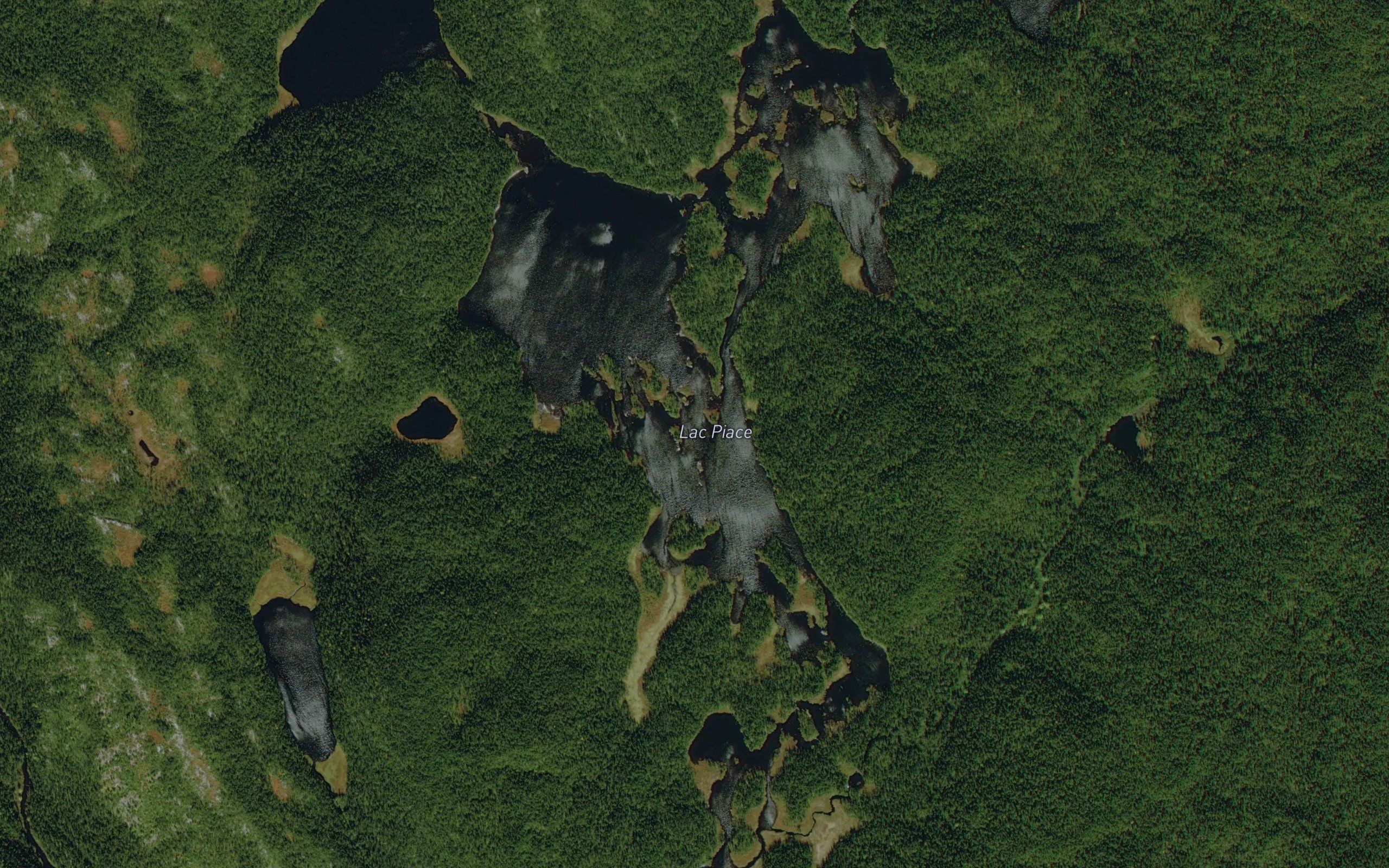 Lac Piace