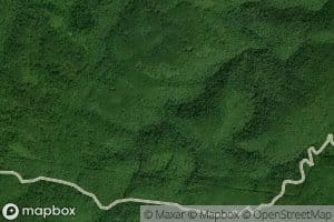 Puncheon Camp Branch