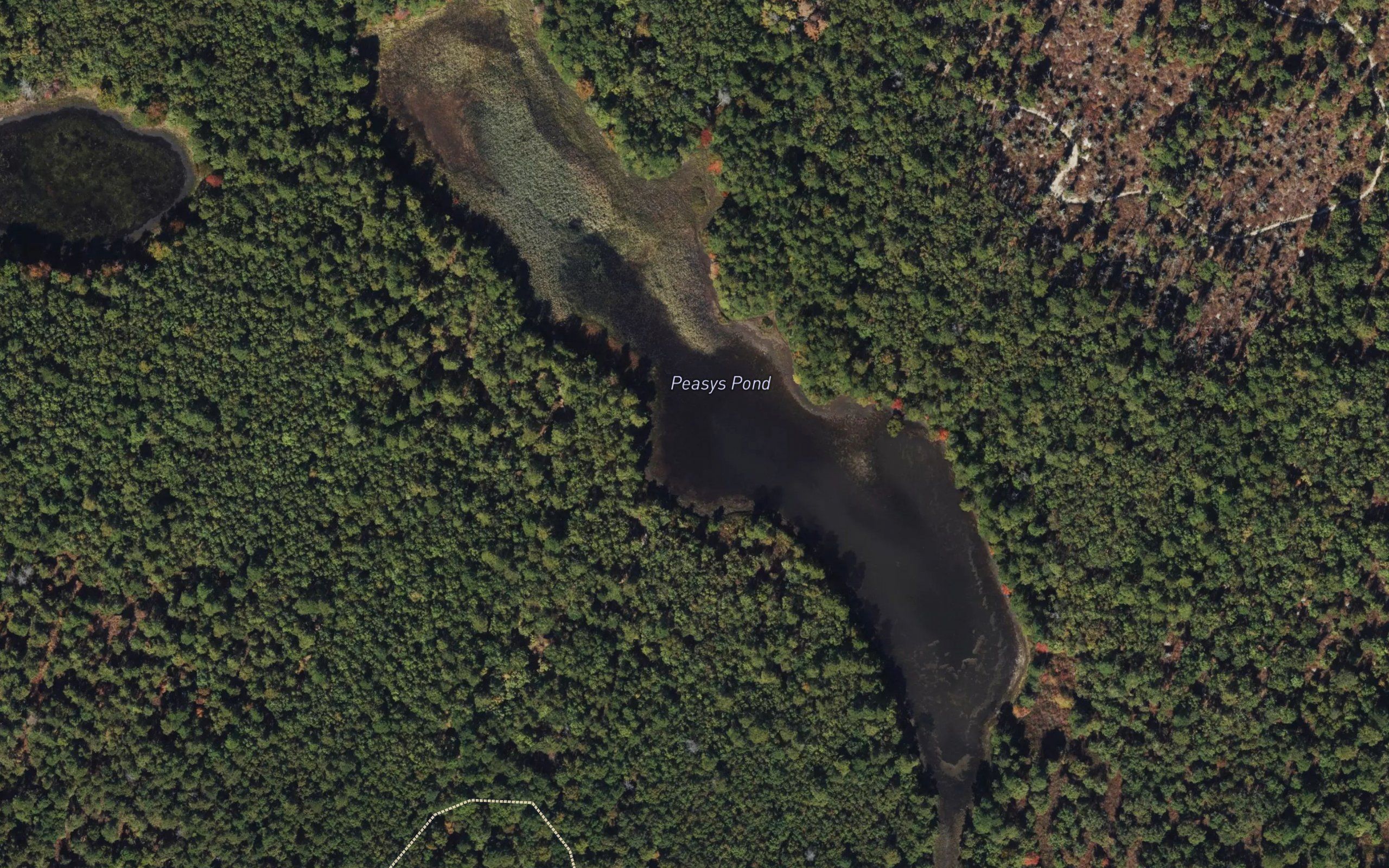 Peasys Pond