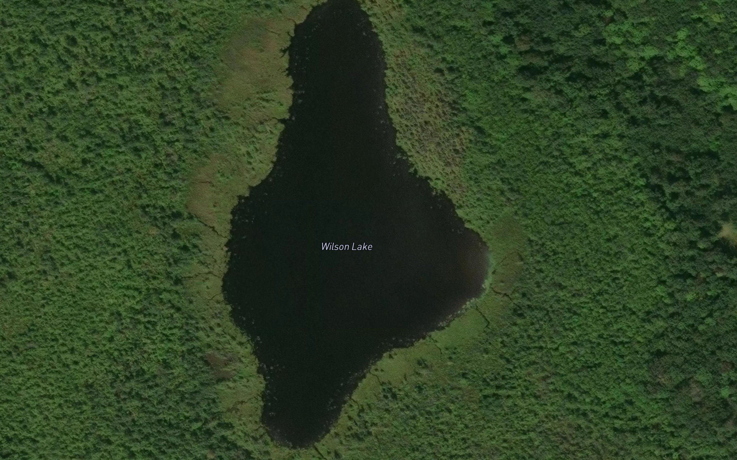 Wilson Lake