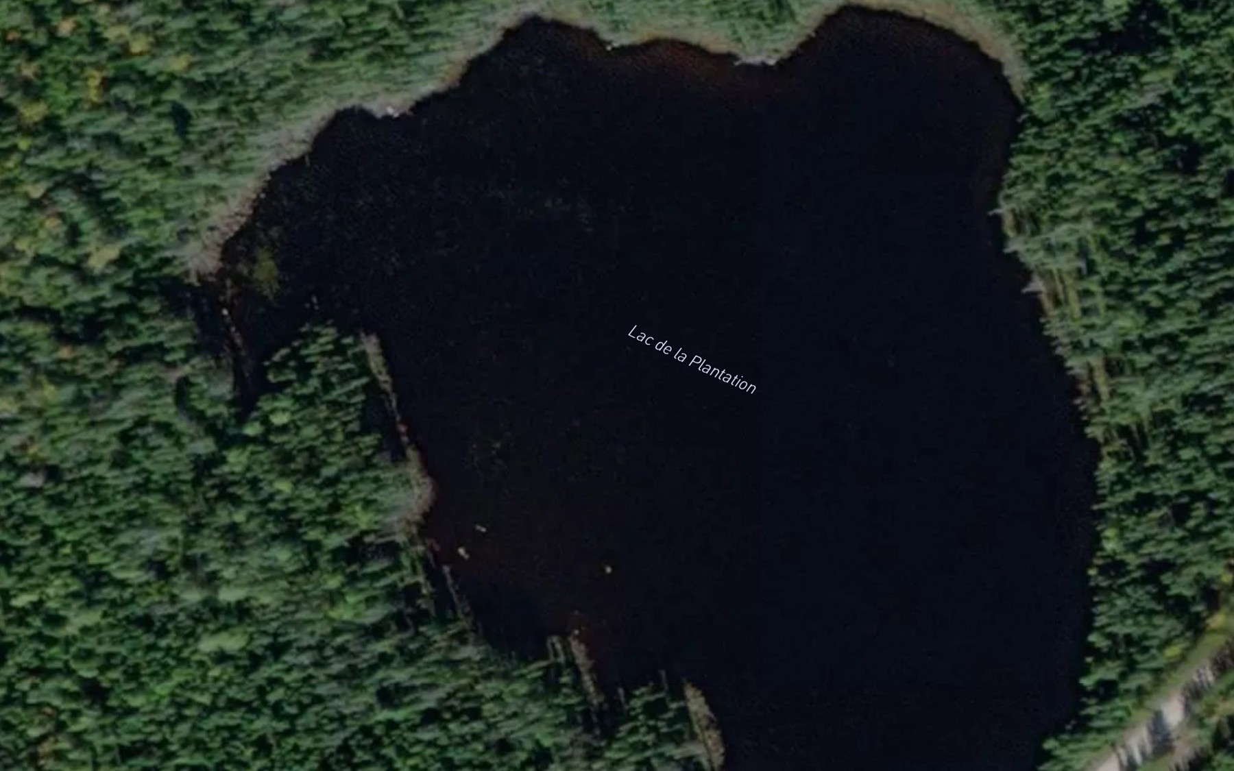 Satellite map of the Lac de la Plantation
