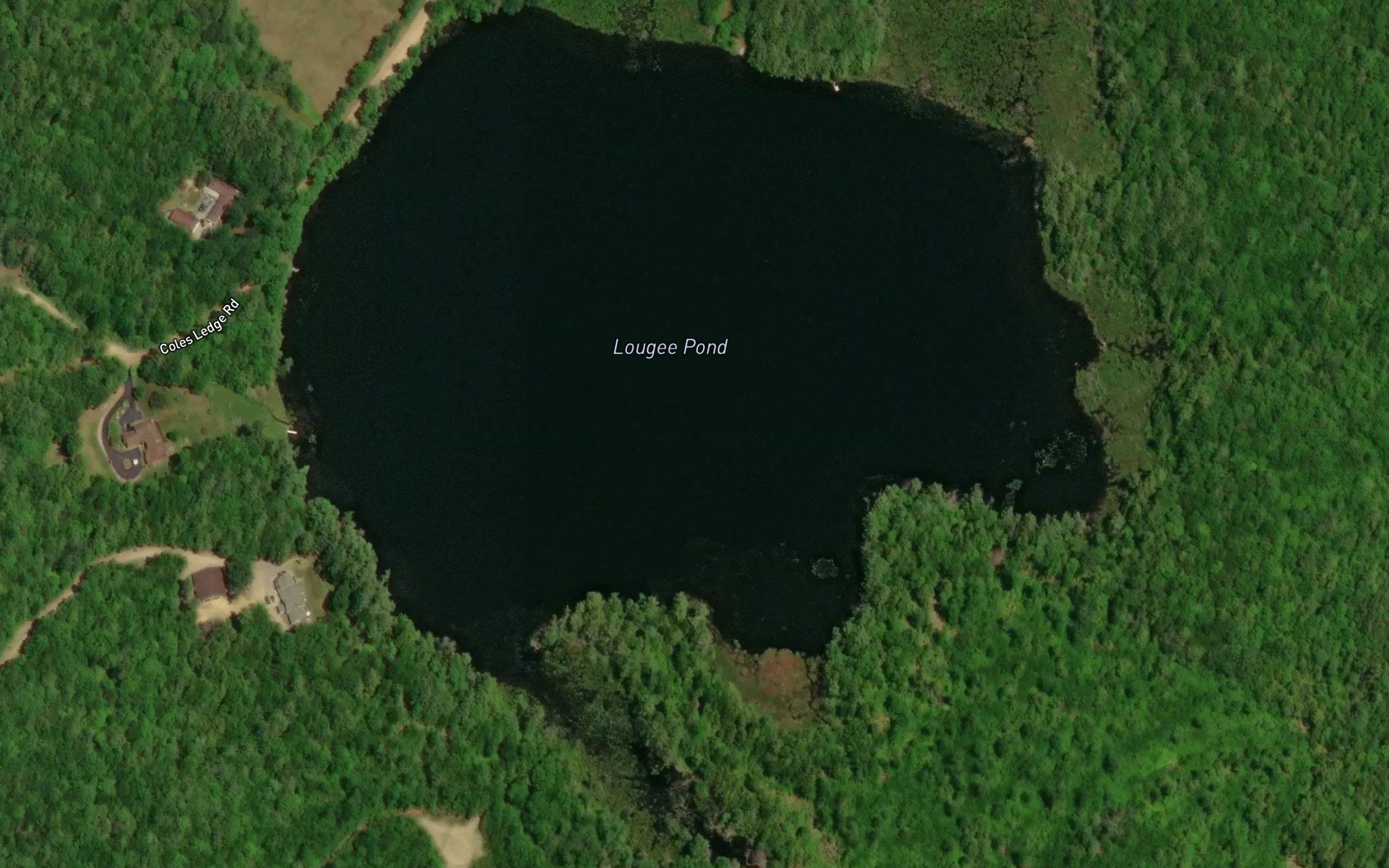 Lougee Pond