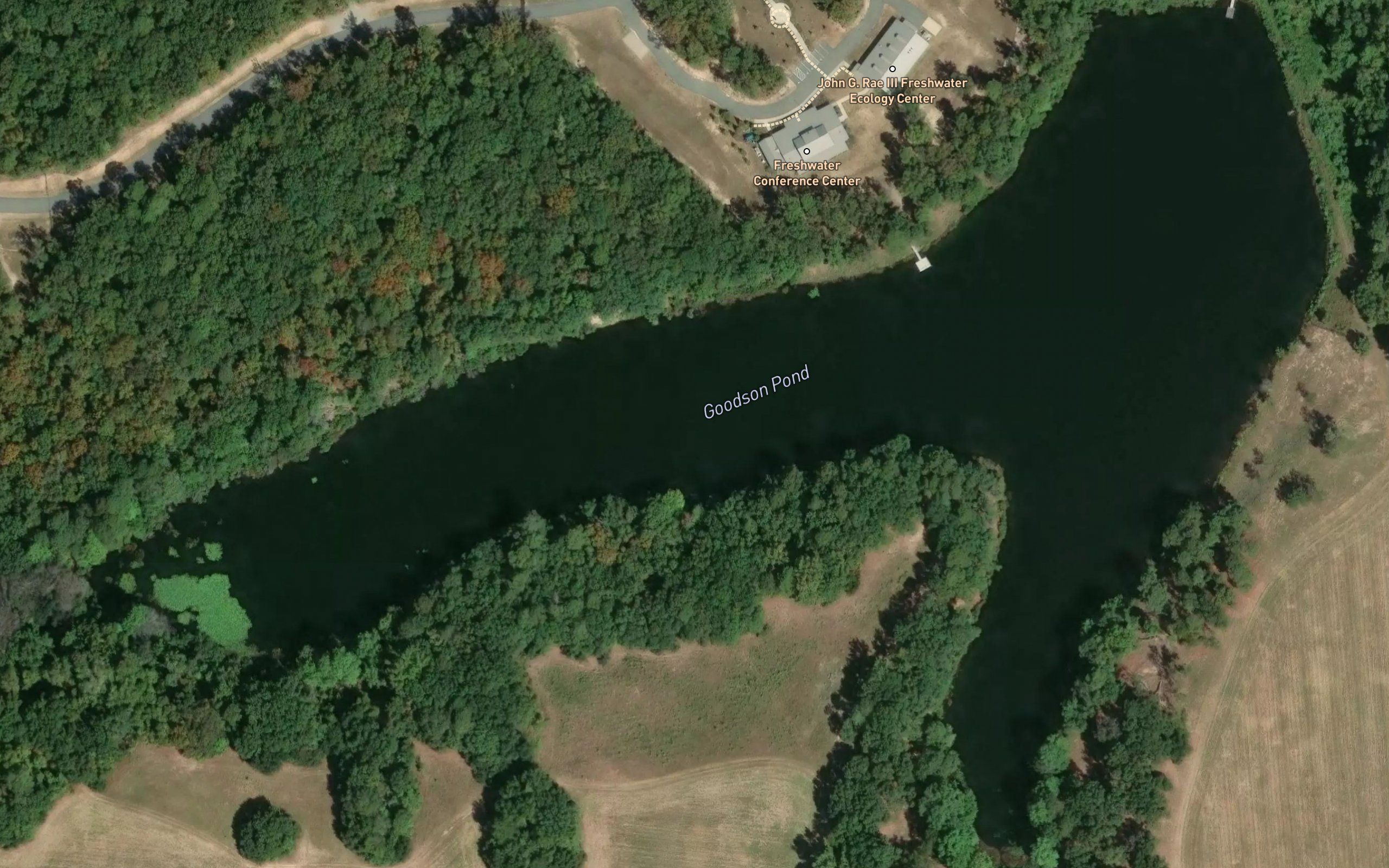 Goodson Pond