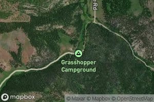 East Fork Grasshopper Creek