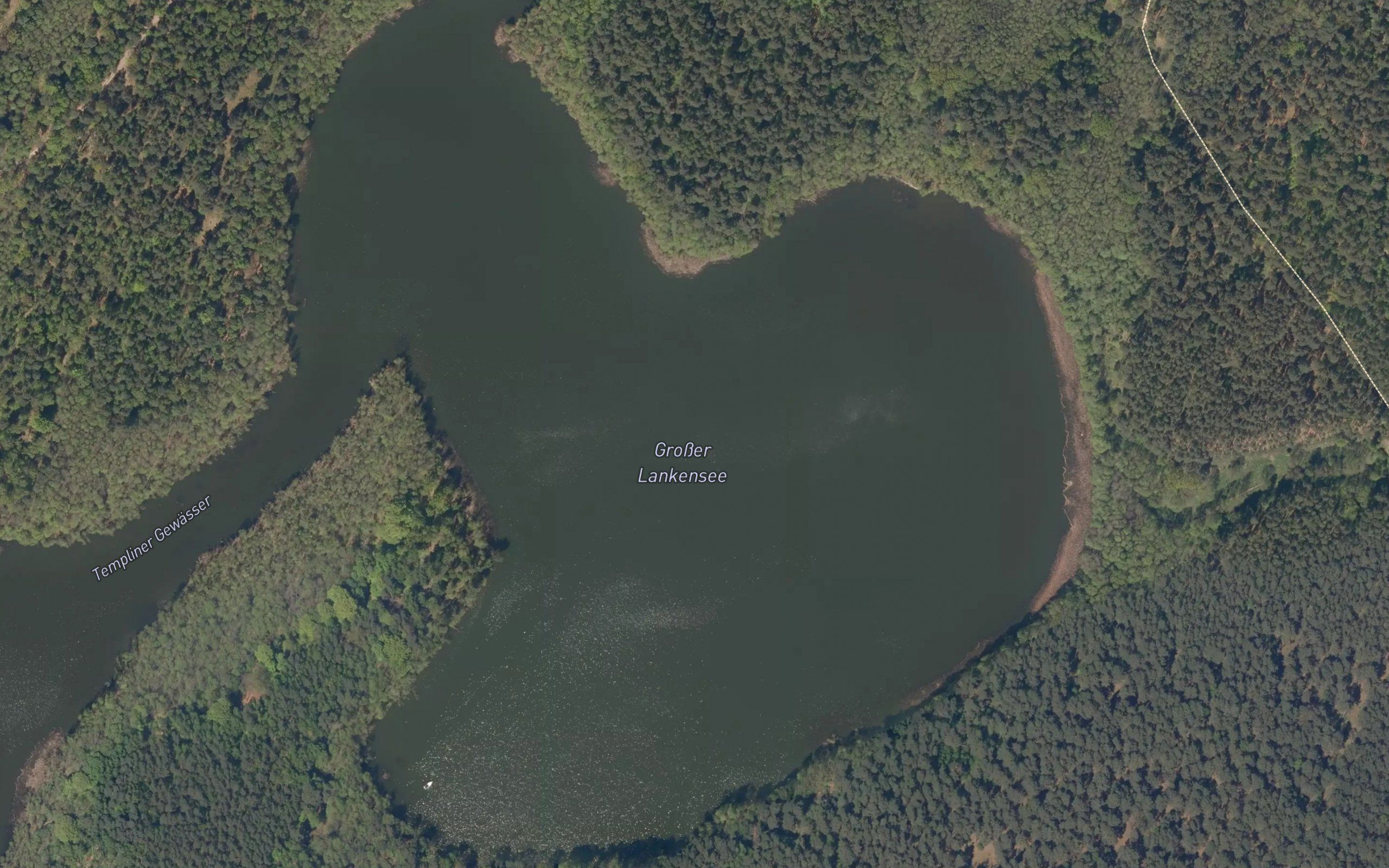 Grosser Lankensee