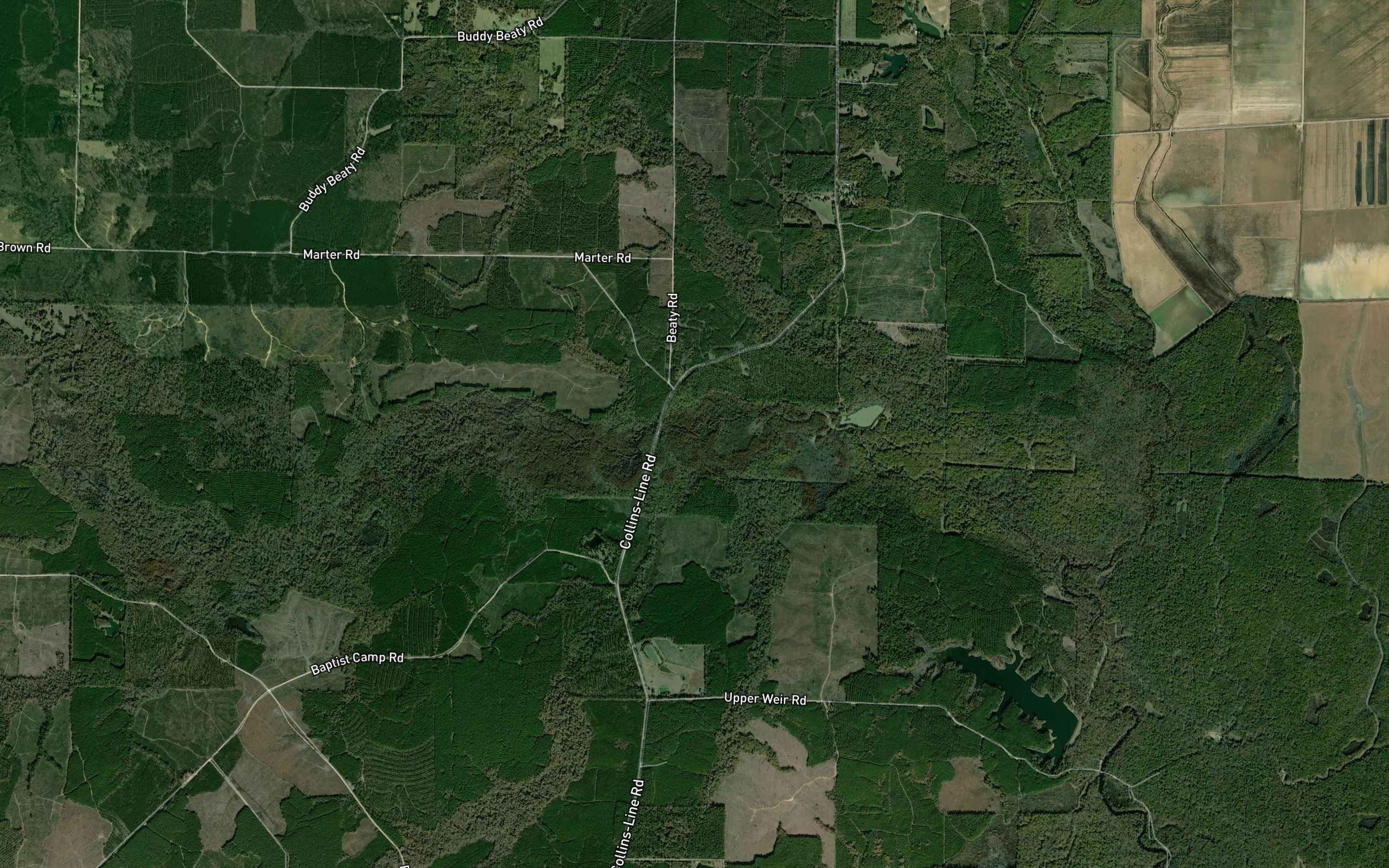 Bailey Creek