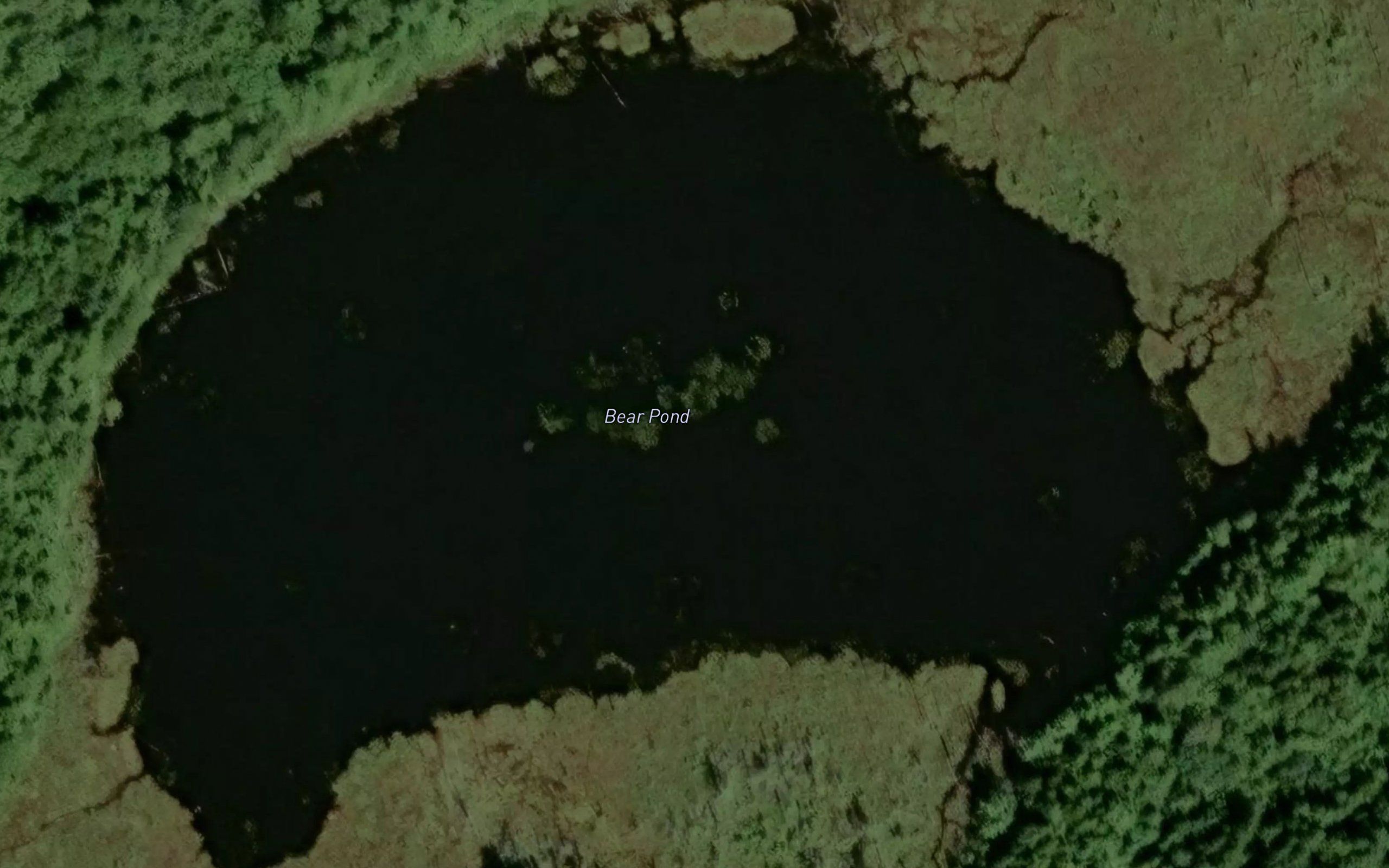 Bear Pond