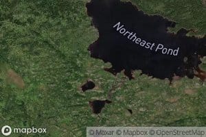 Northeast Pond