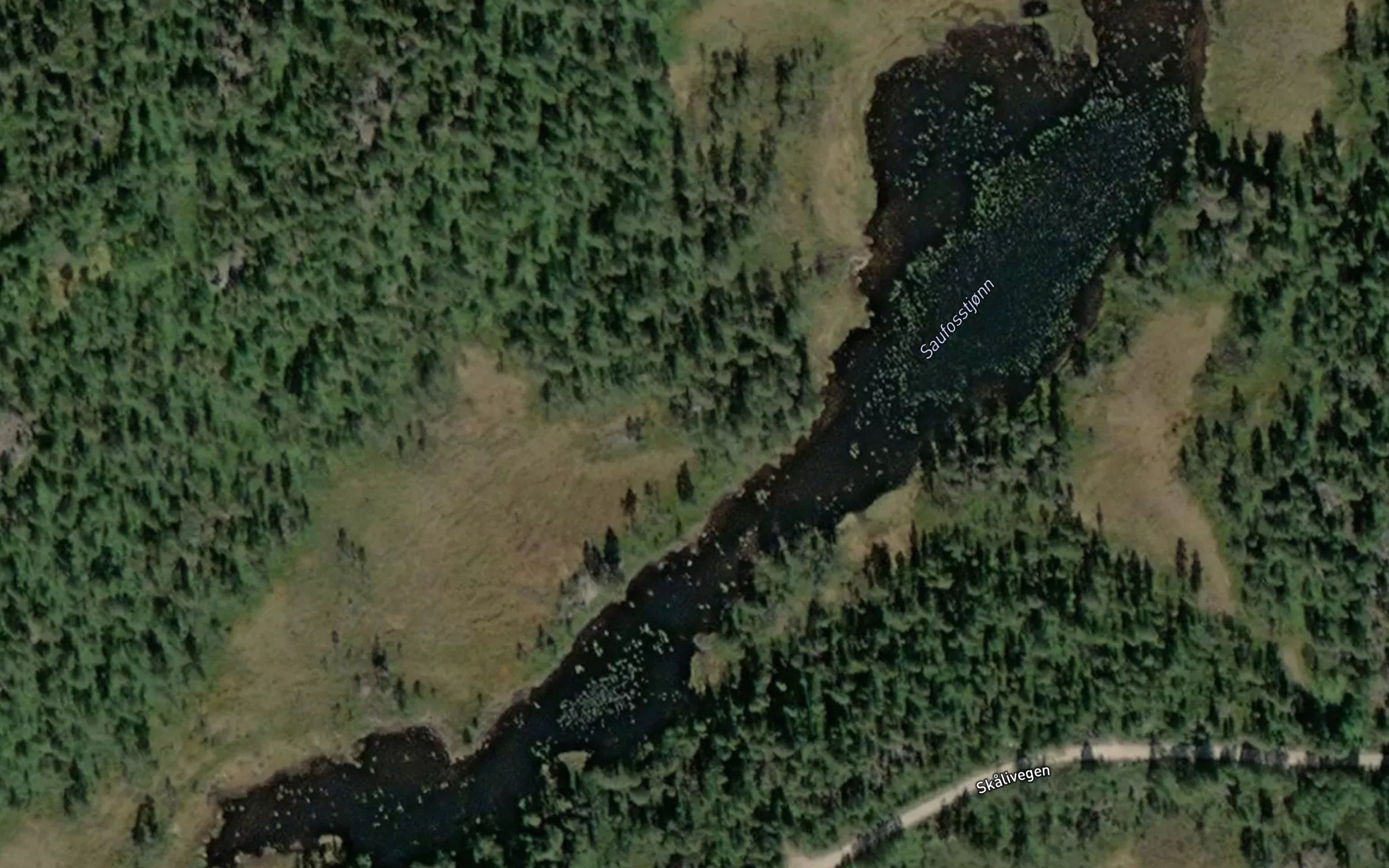 Saufosstjorna