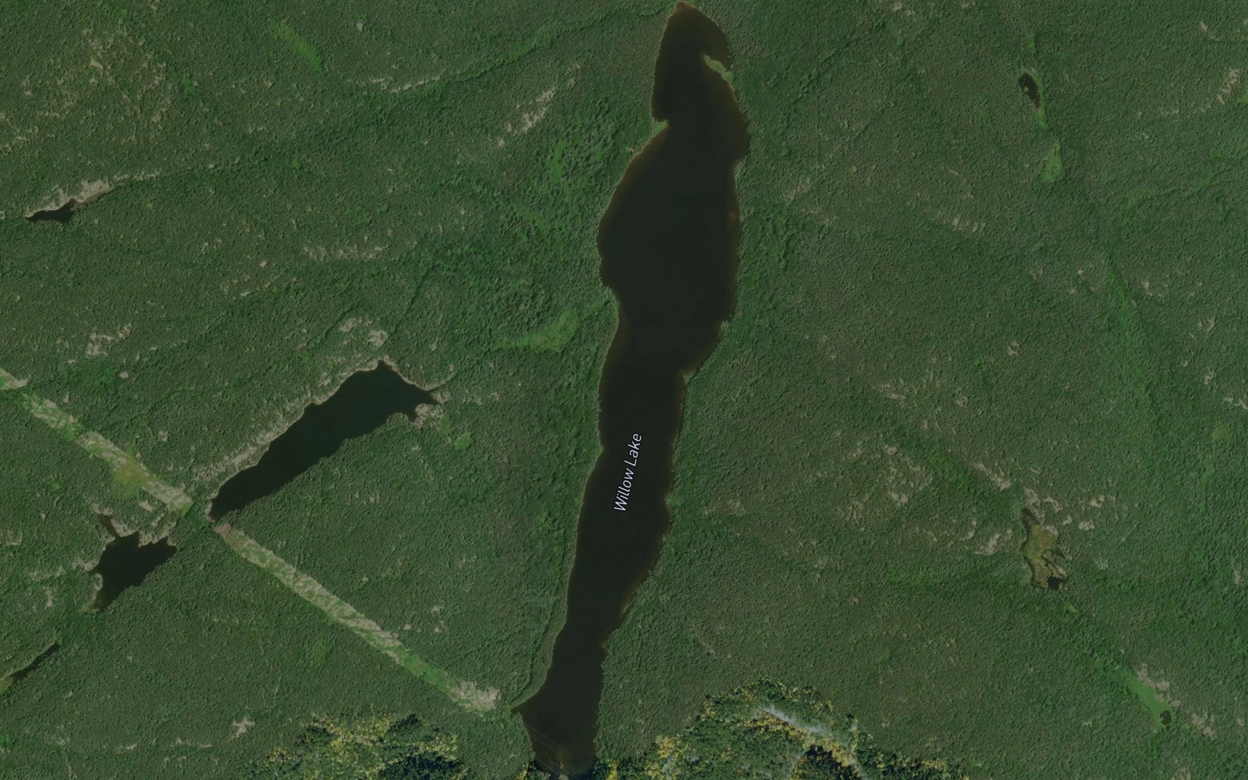 Satellite map of the Willow Lake