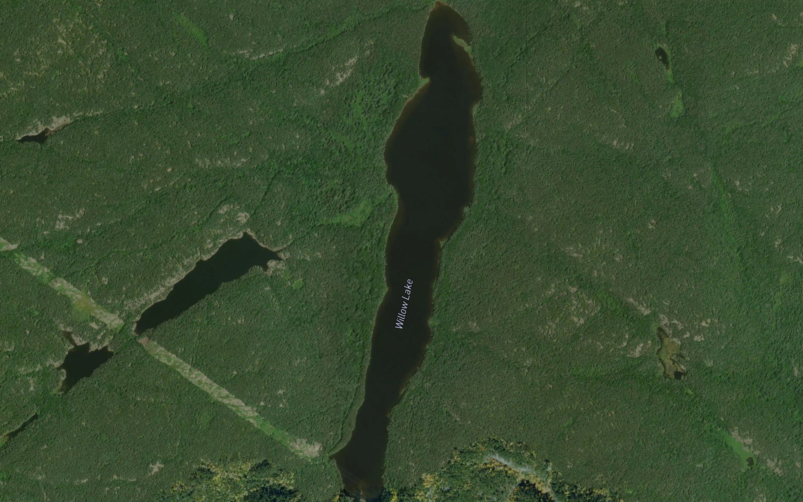 Willow Lake