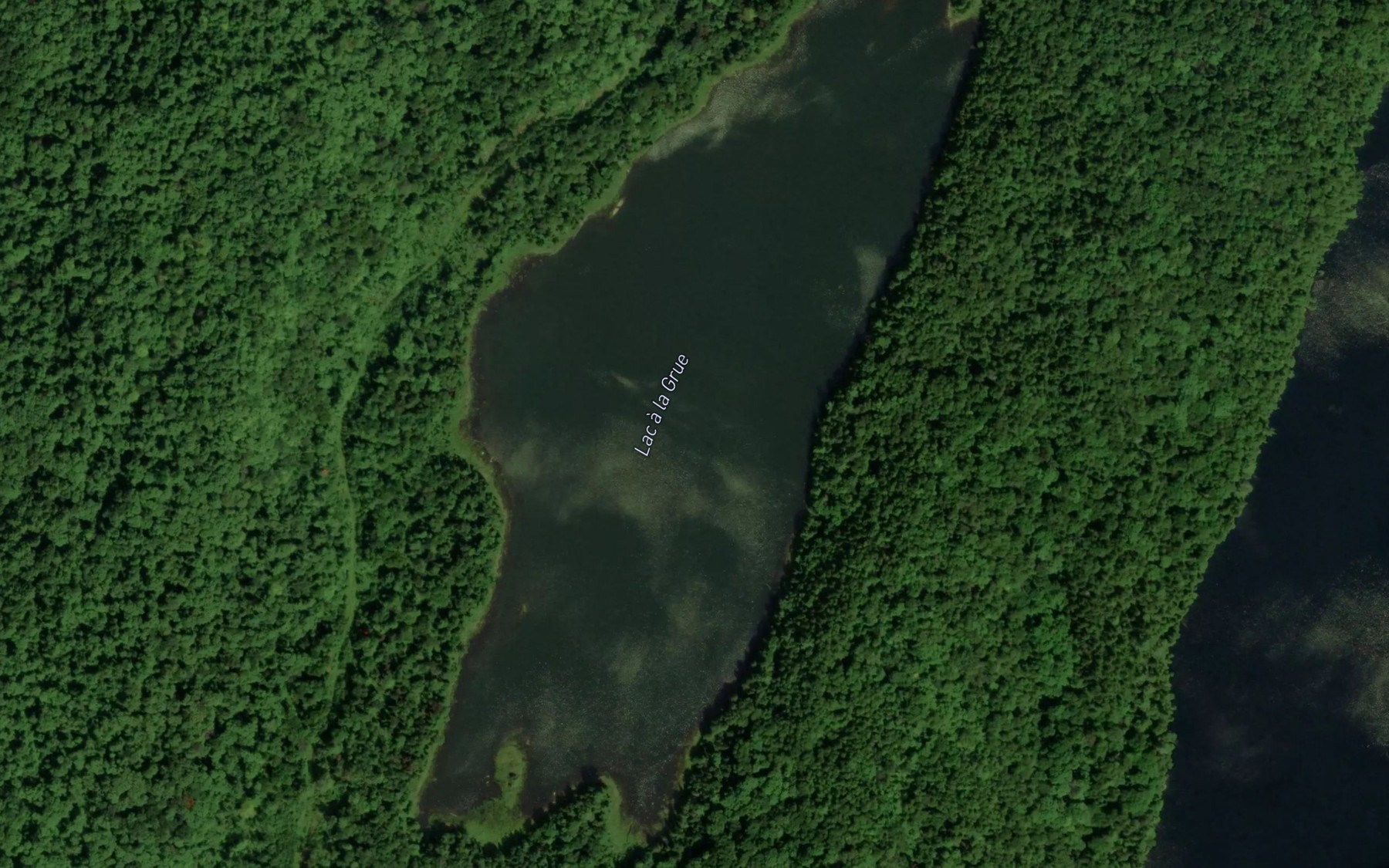 Satellite map of the Lac a la Grue