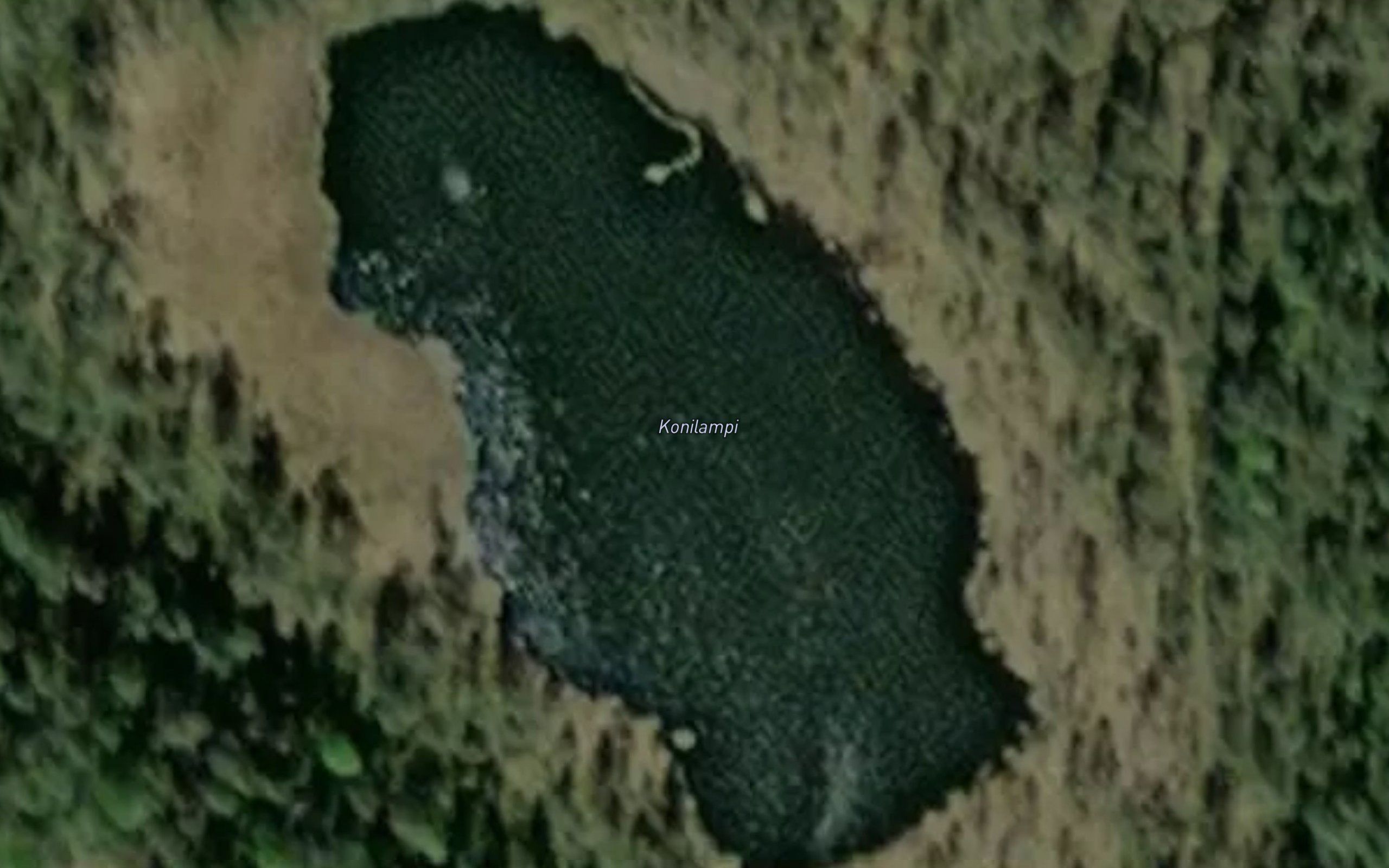 Konilampi
