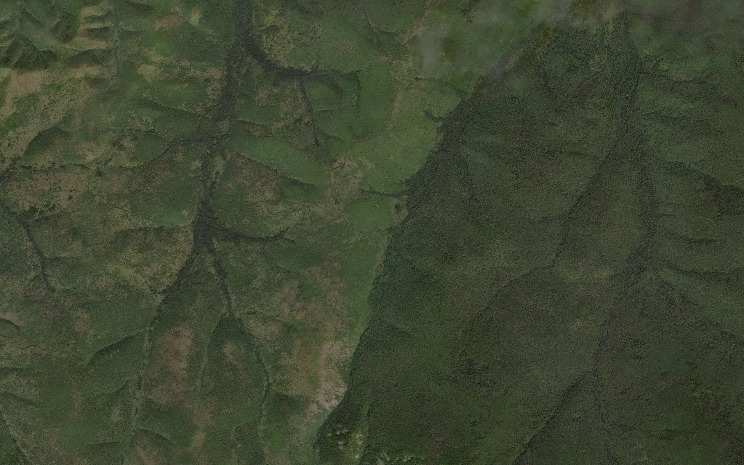 Levaya Bygda
