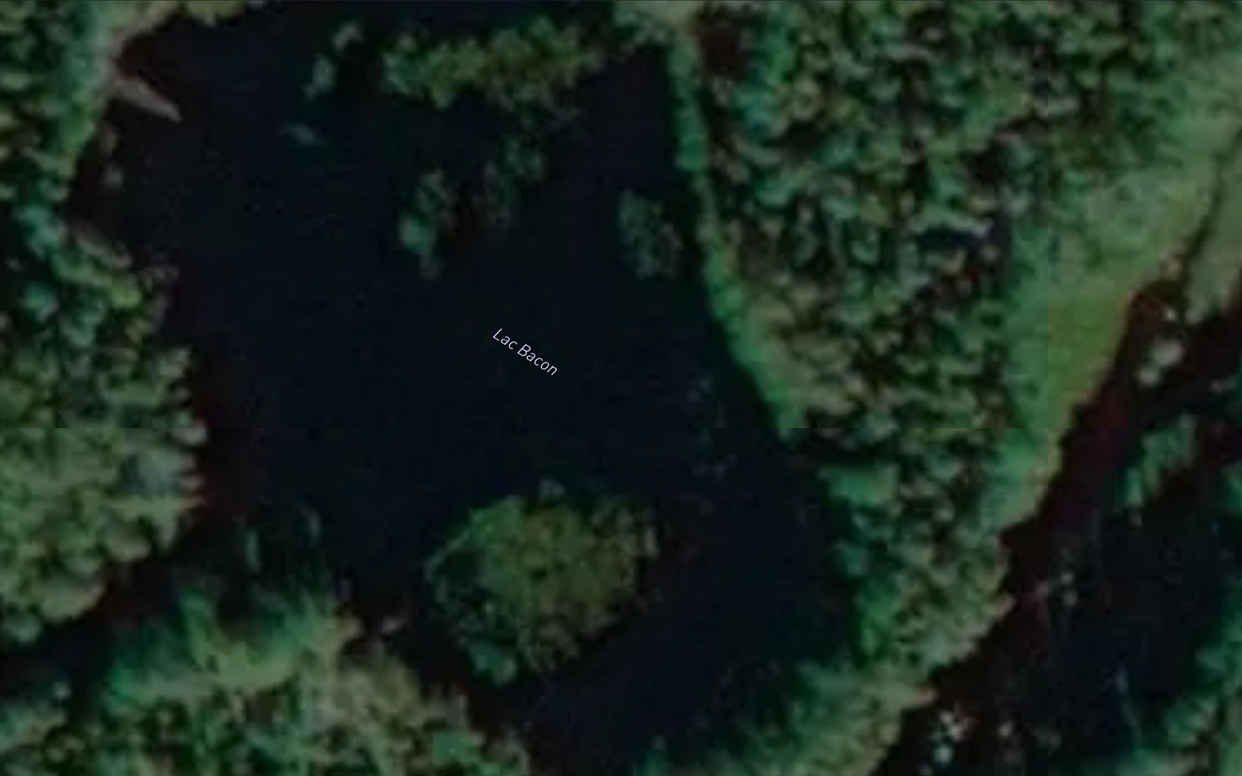 Satellite map of the Lac Bacon