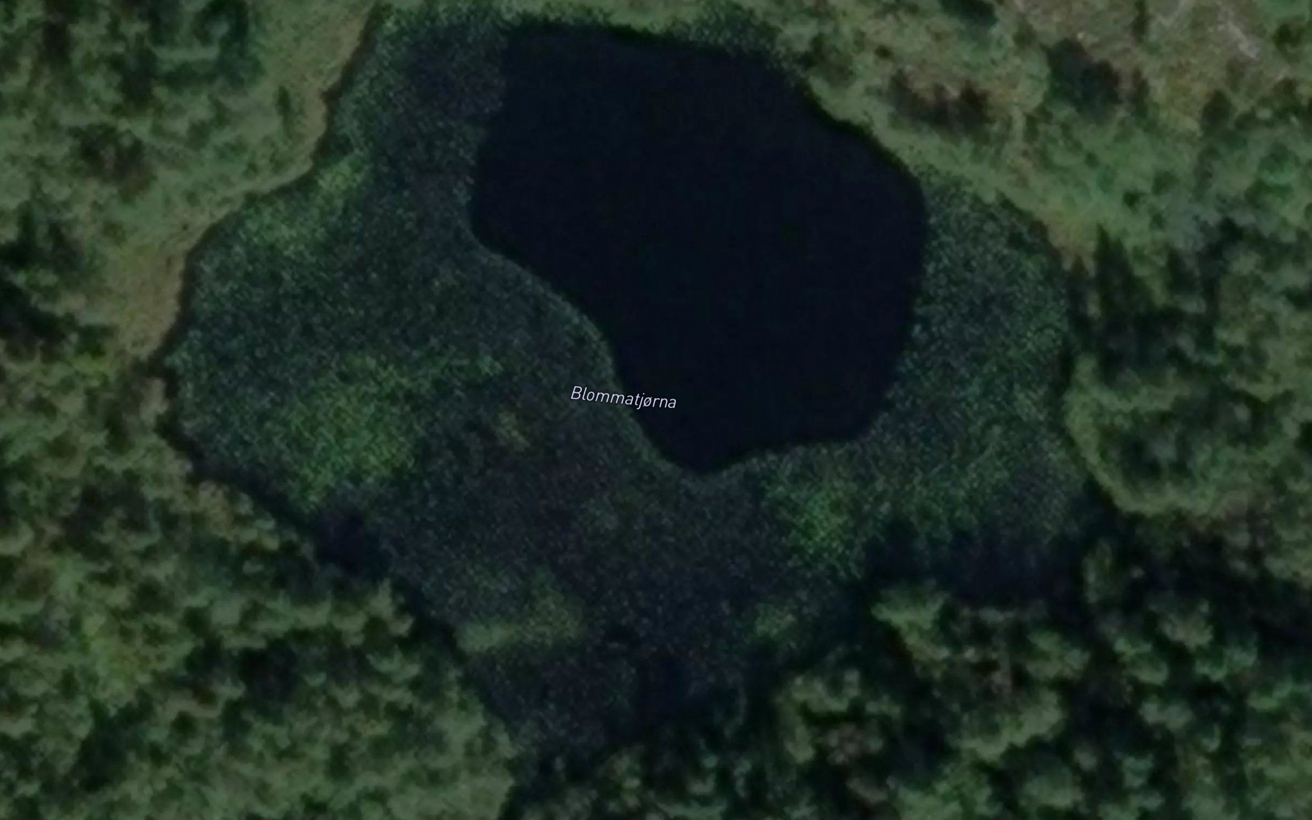 Blommatjorna