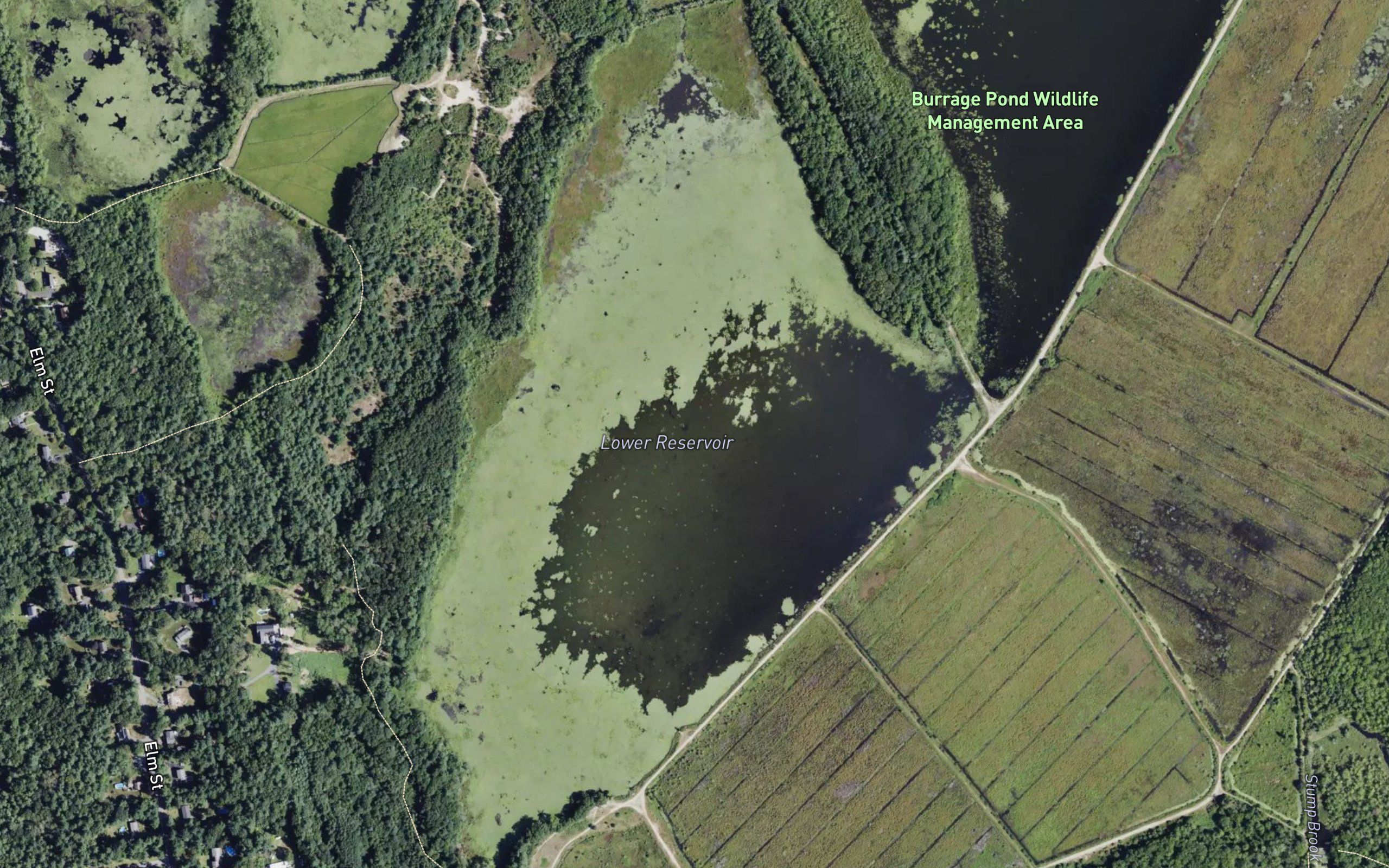 Burrage Pond - Lower Reservoir