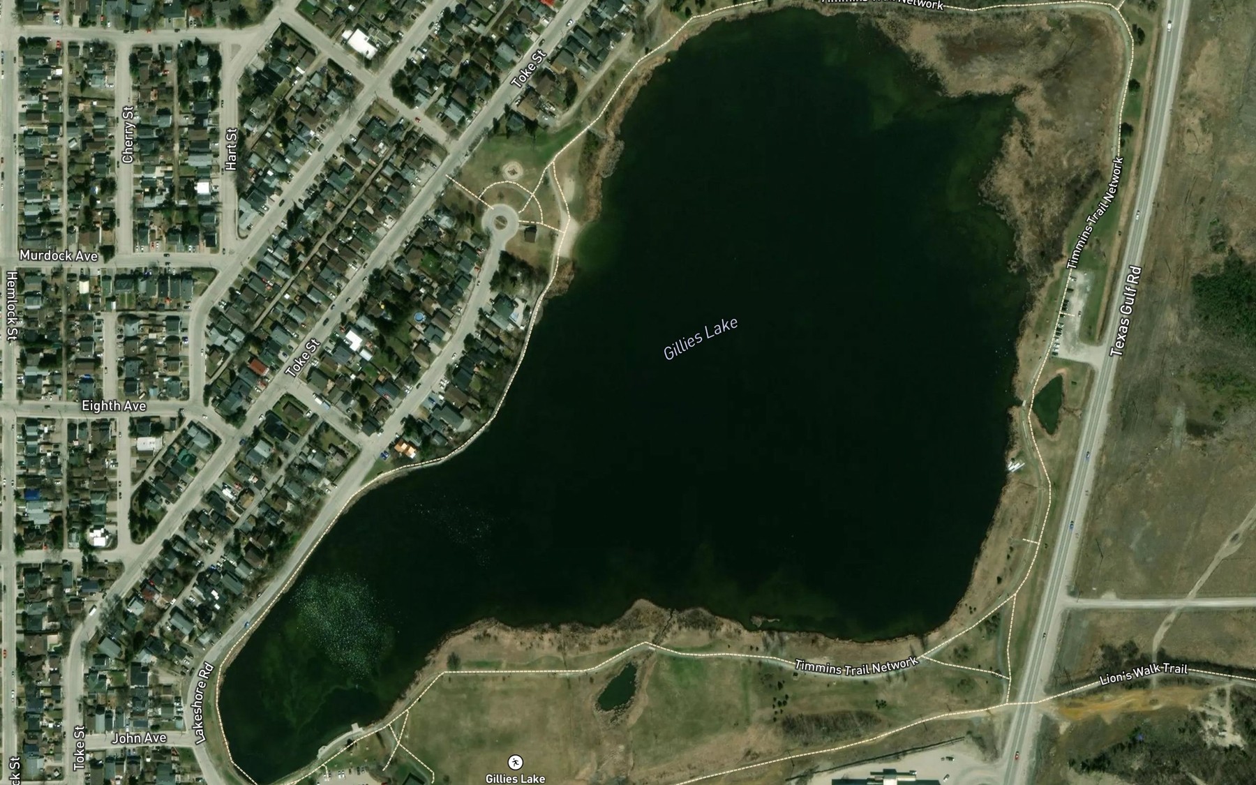 Satellite map of the Gillies Lake