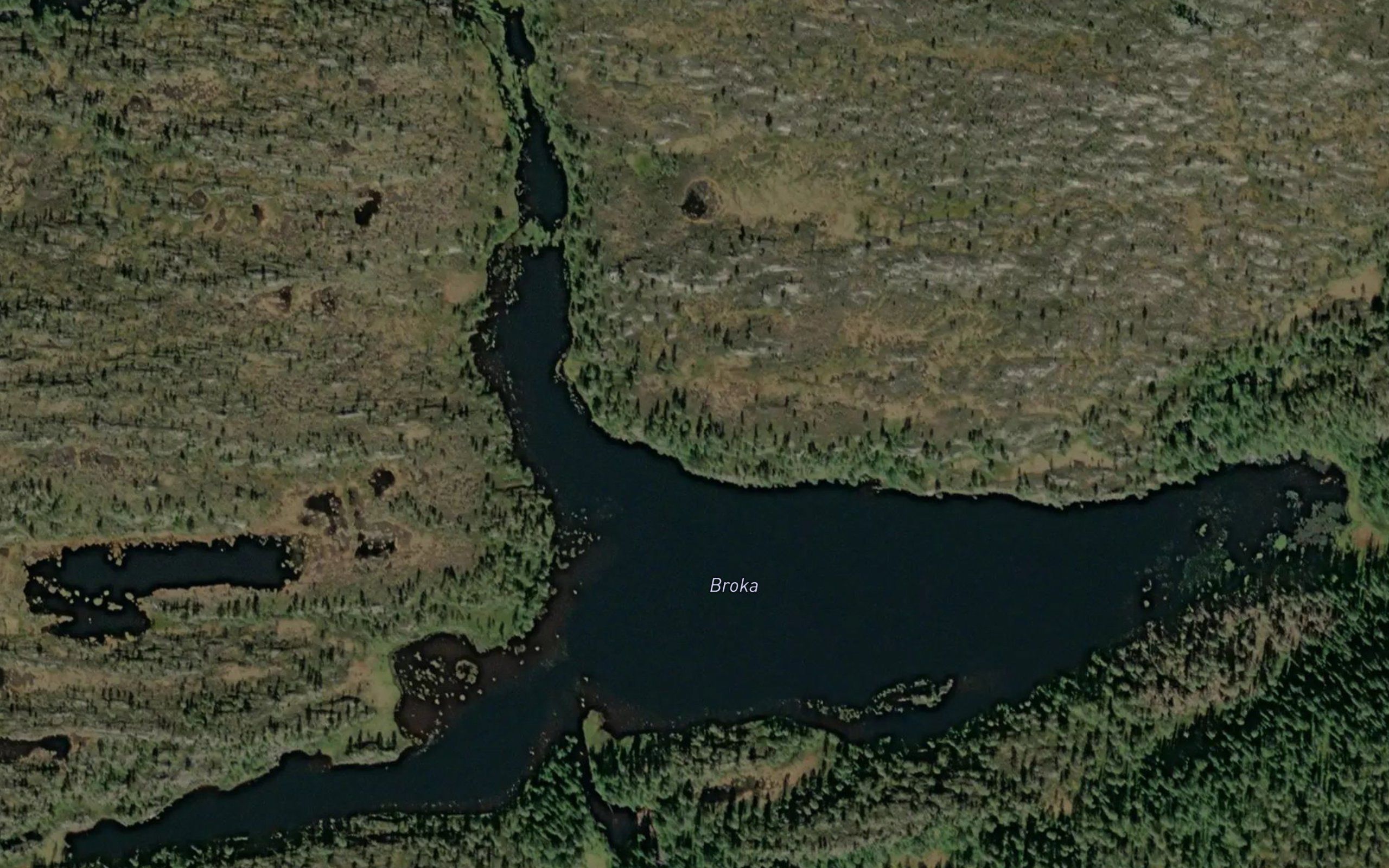 Broktjorna