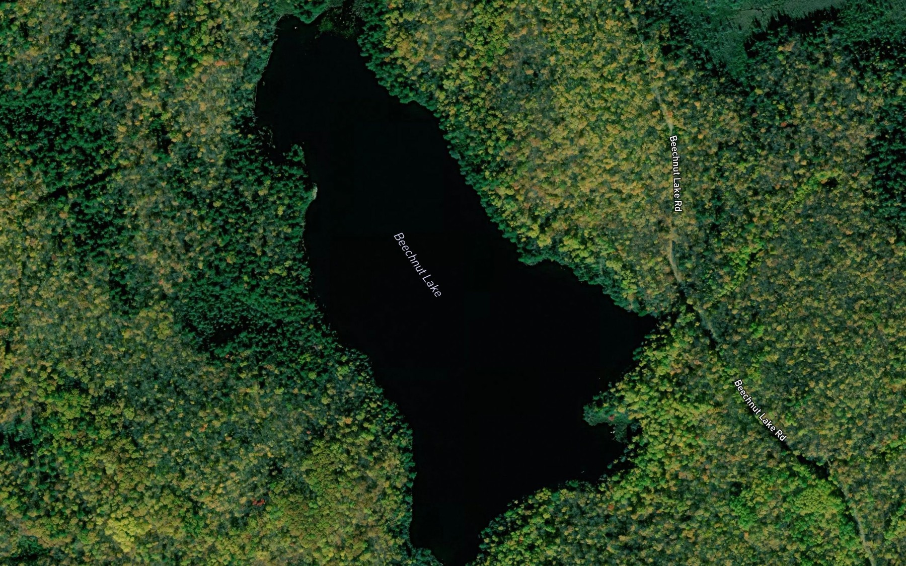 Satellite map of the Beechnut Lake