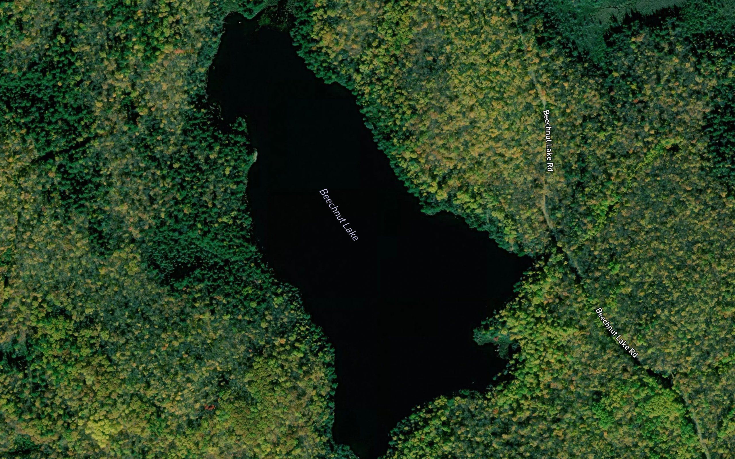 Beechnut Lake