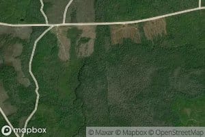 East Fork Tenmile Swamp