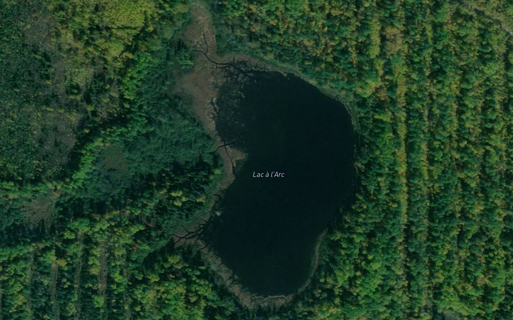 Satellite map of the Lac a l'Arc