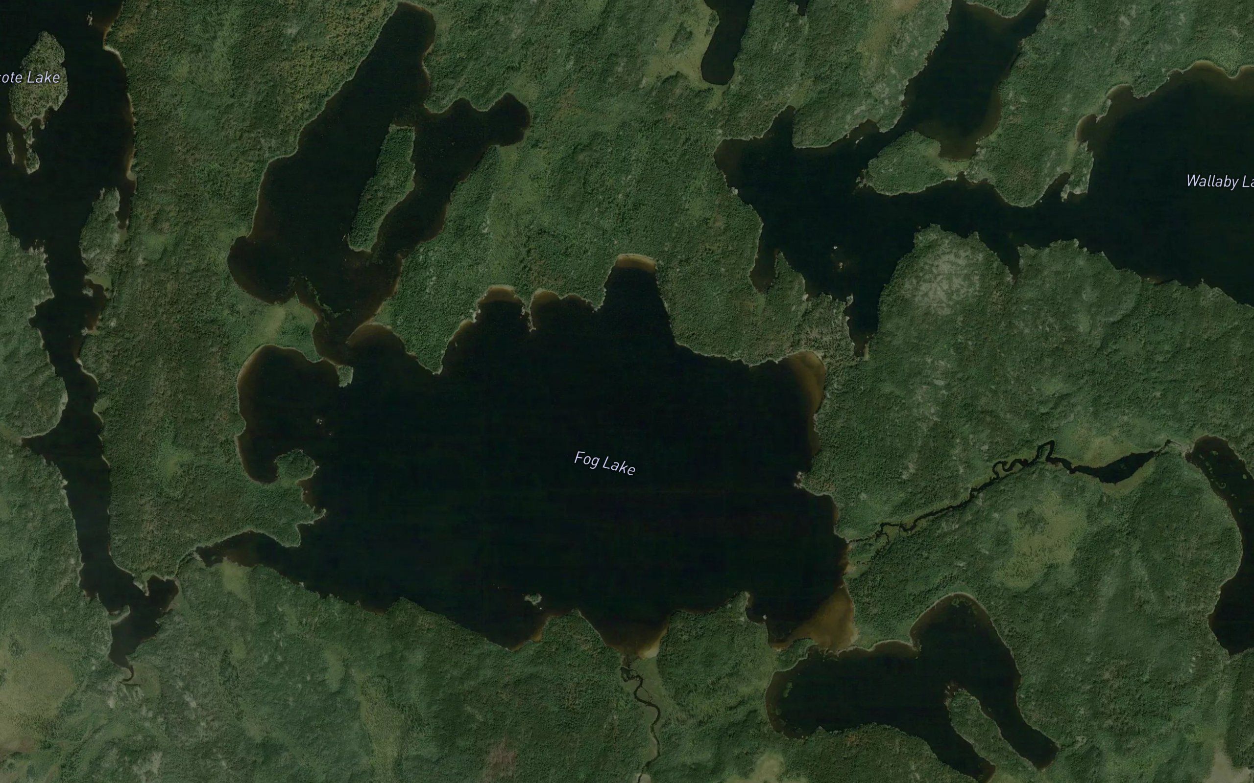 Fog Lake
