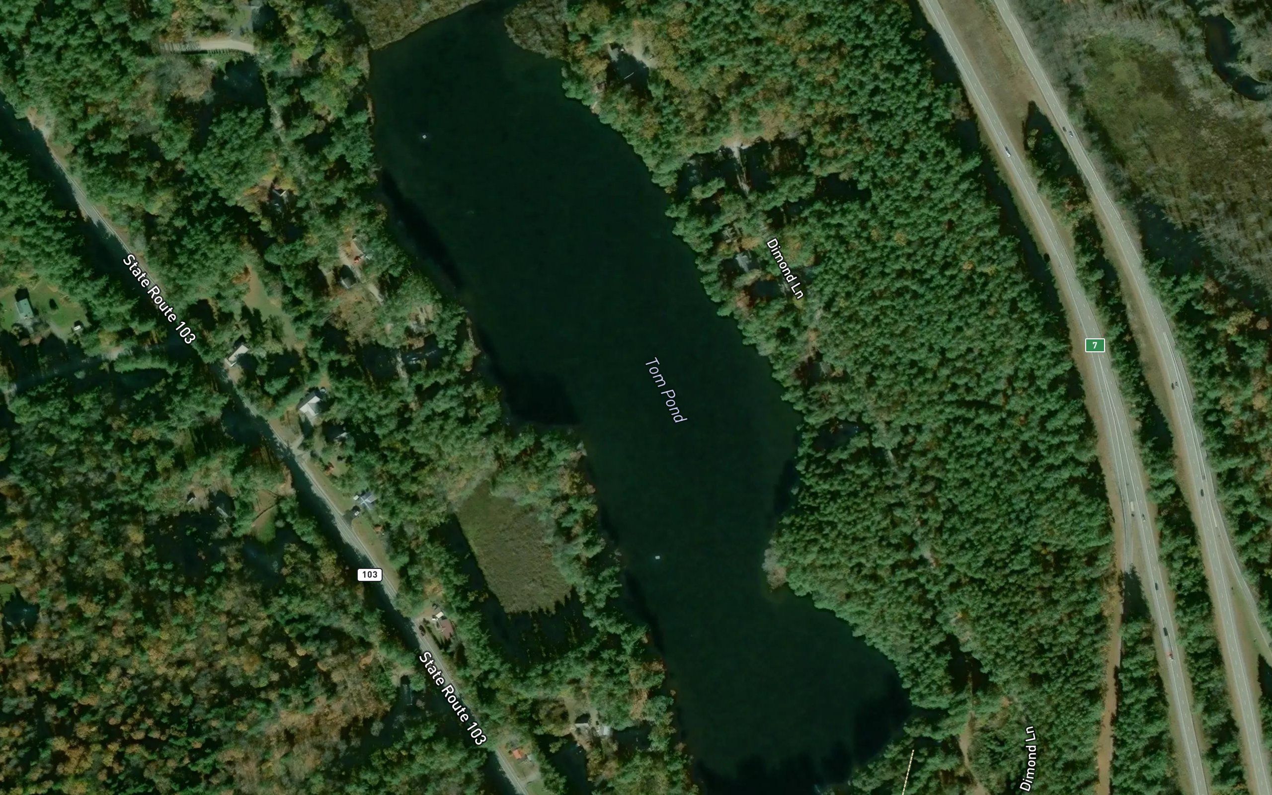 Tom Pond