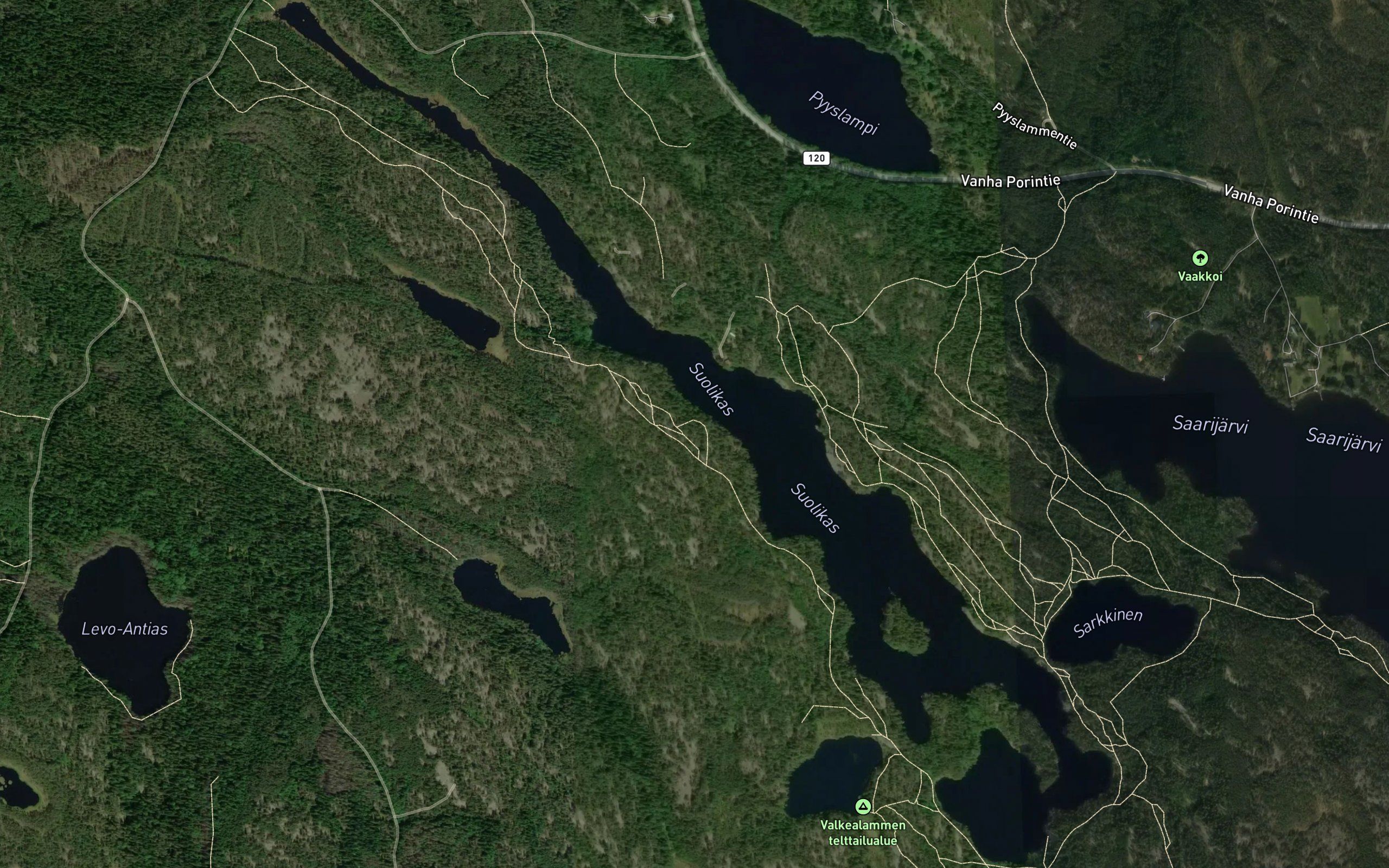 Suolikas