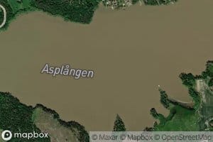 Asplangen