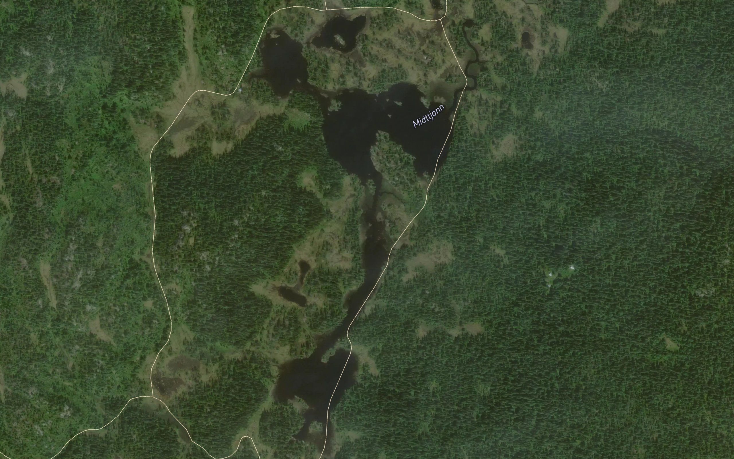Midttjorn