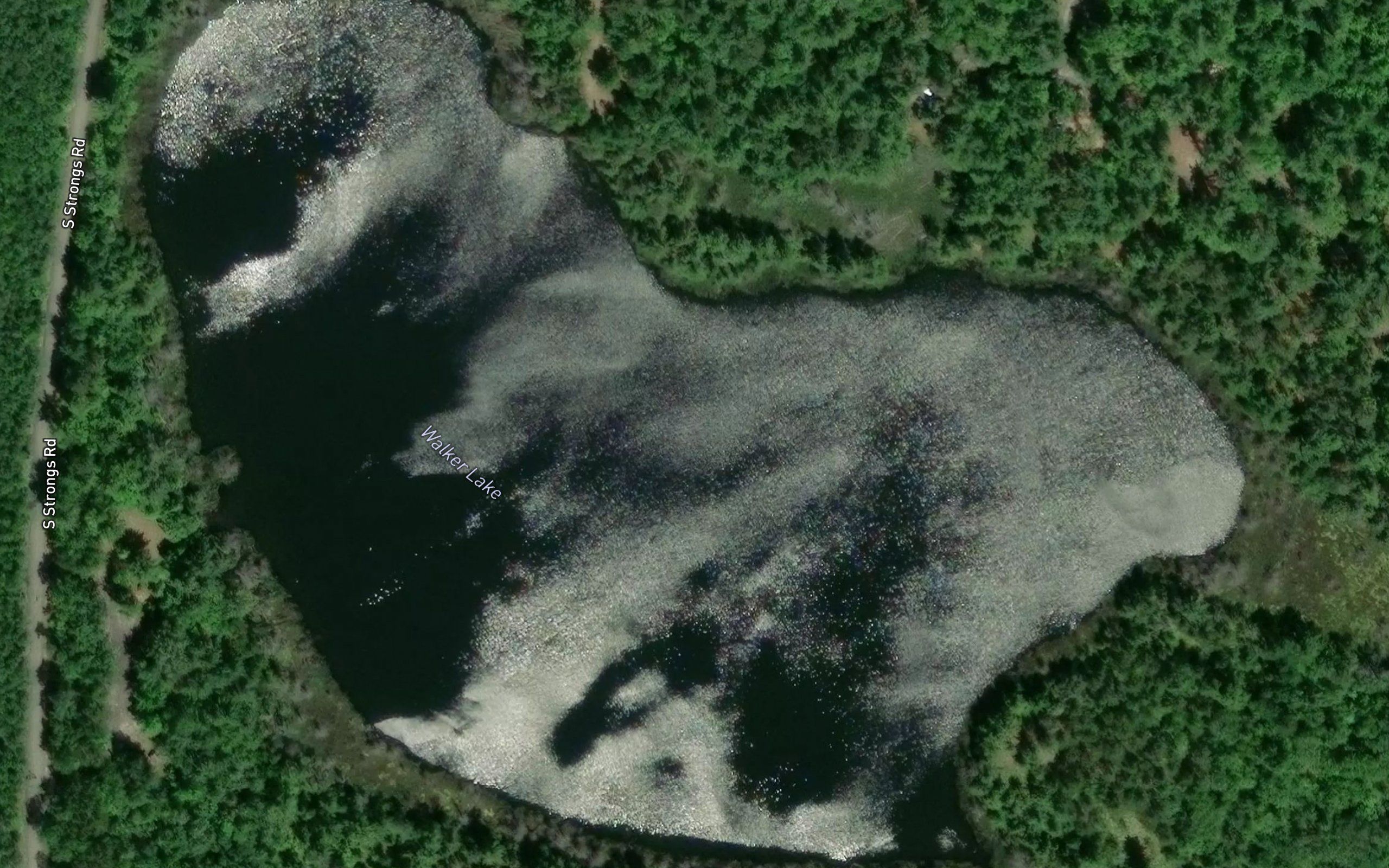 Walker Lake