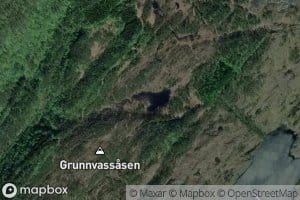 Grunnavatnet