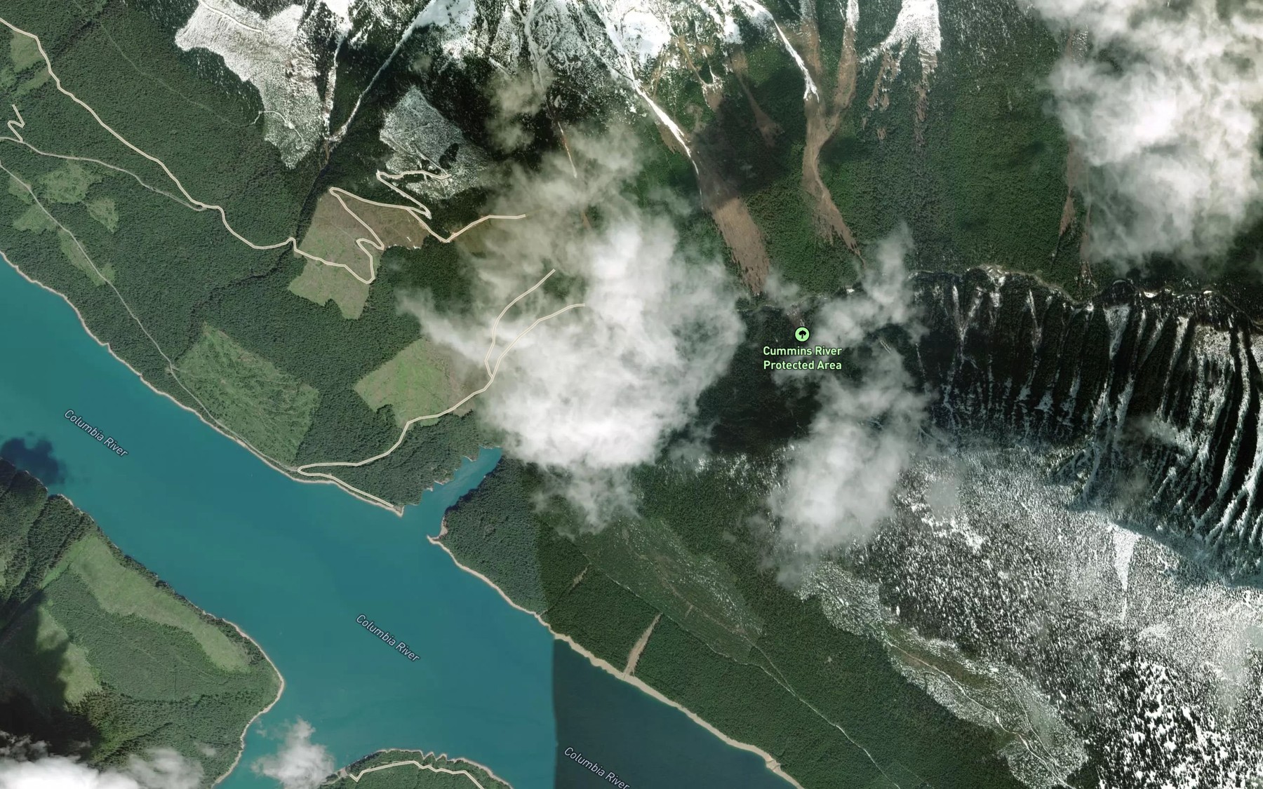 Satellite map of the Cummins Arm