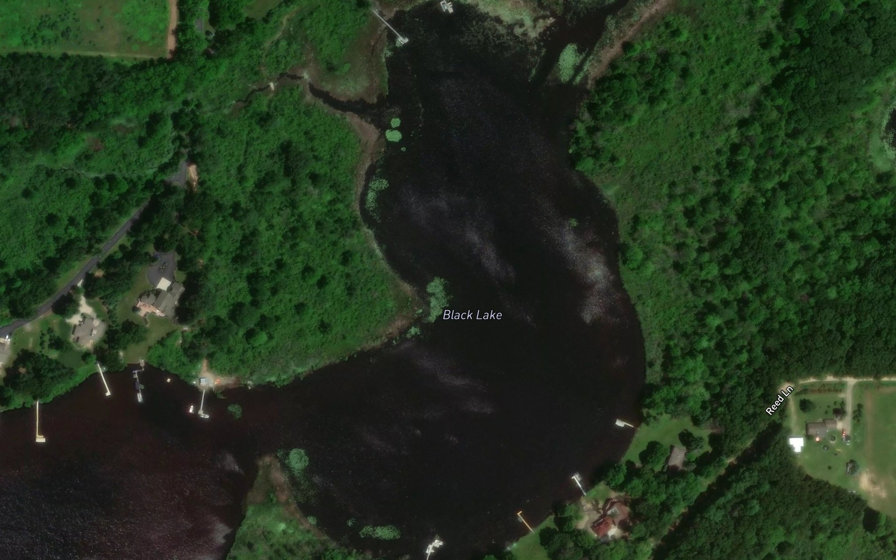 Satellite map of the Black Lake