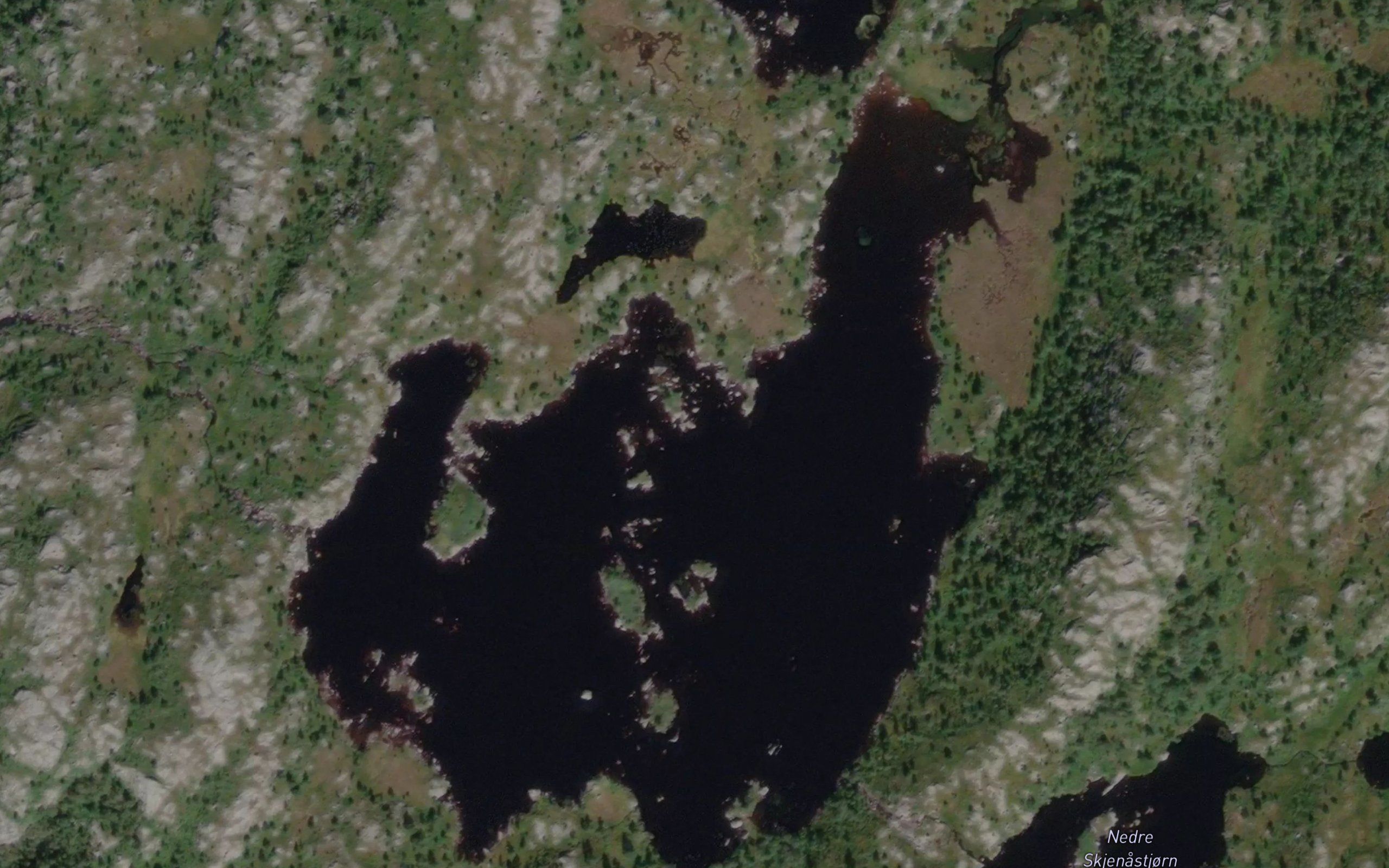 Grautvatnet