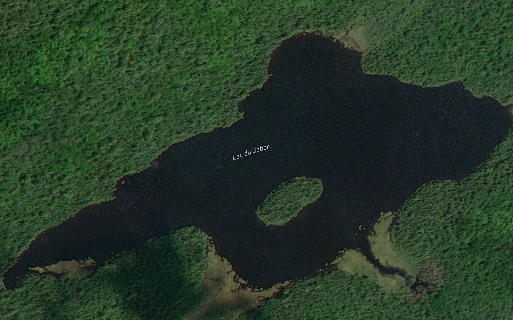 Satellite map of the Lac du Gabbro