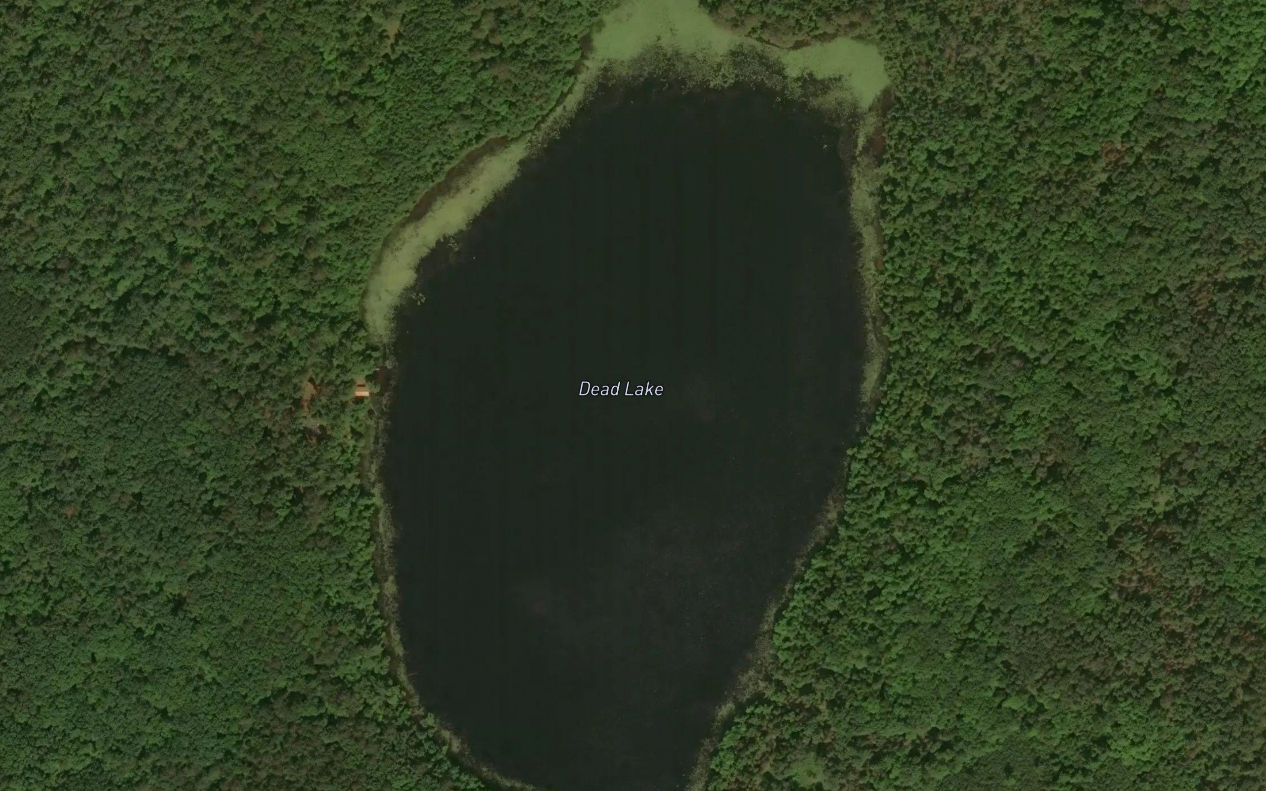 Dead Lake