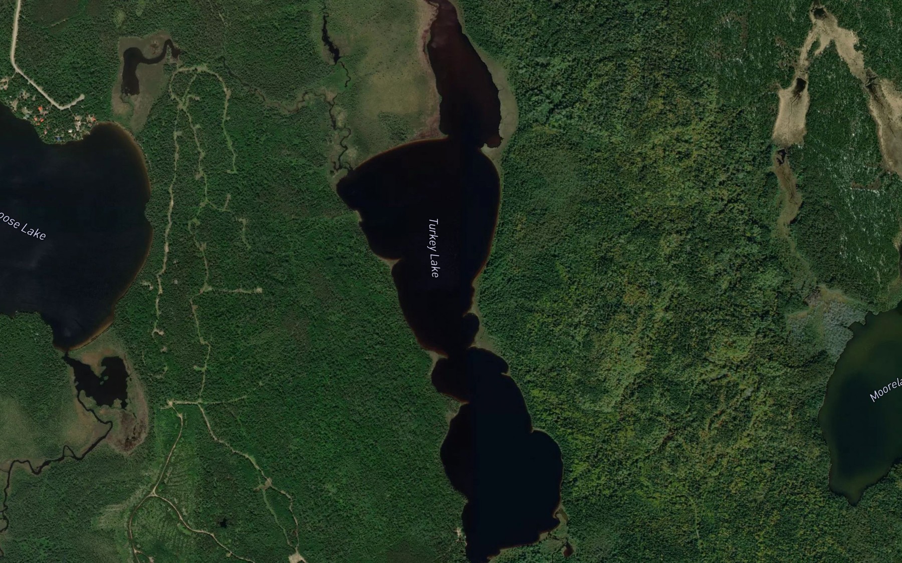Satellite map of the Turkey Lake