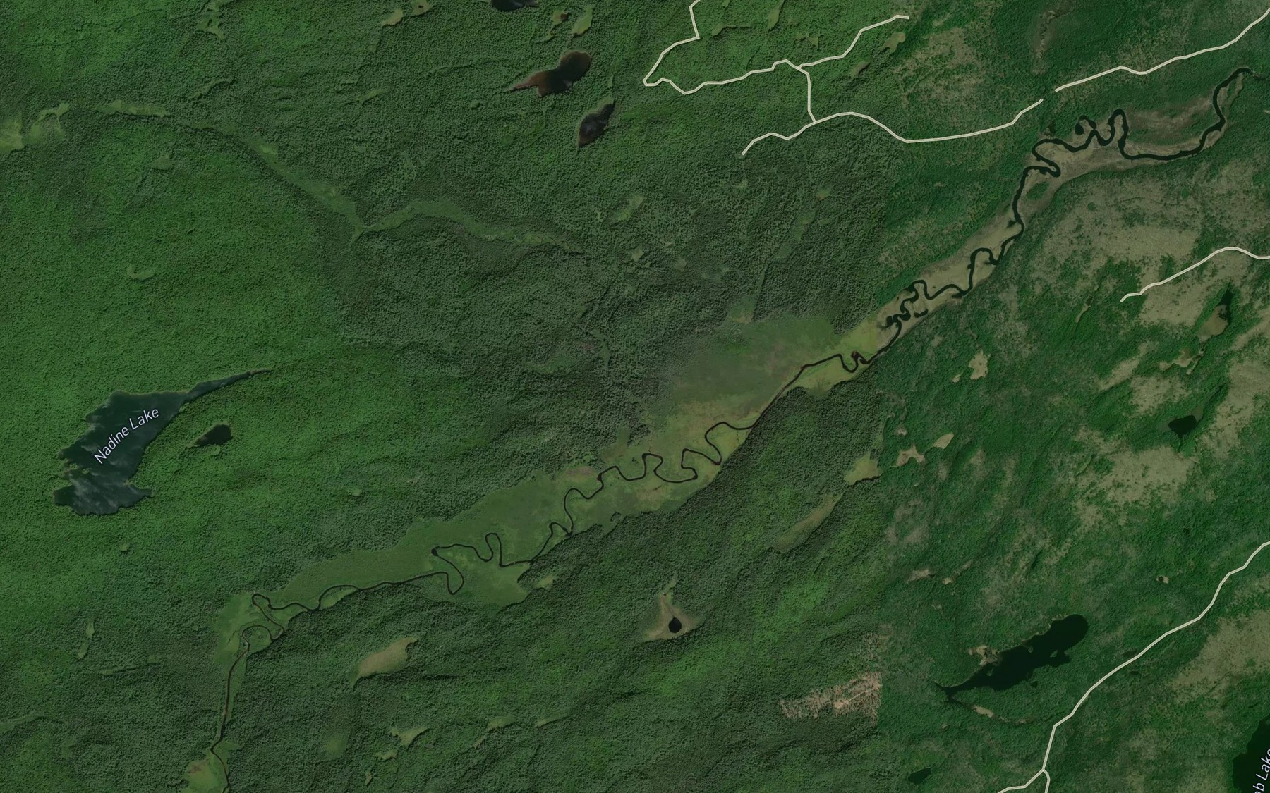 Satellite map of the Nadine Creek