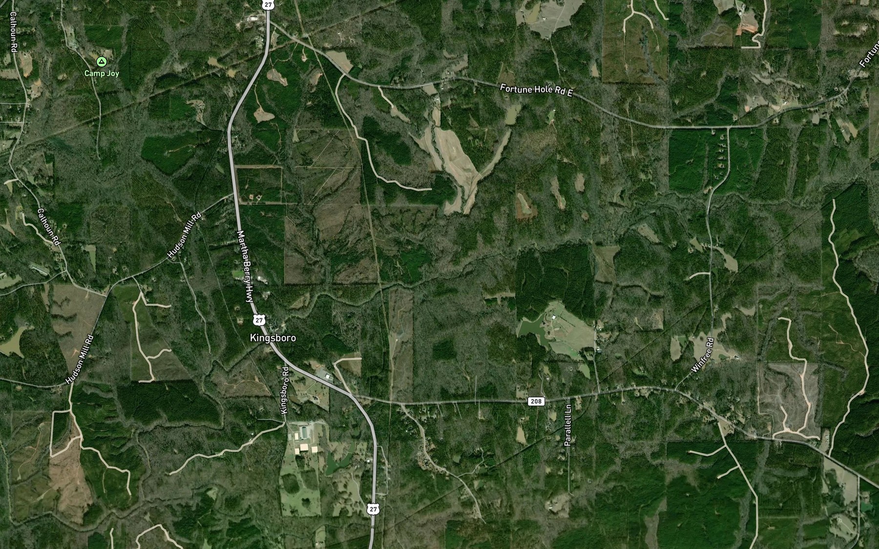 Satellite map of the Palmetto Creek