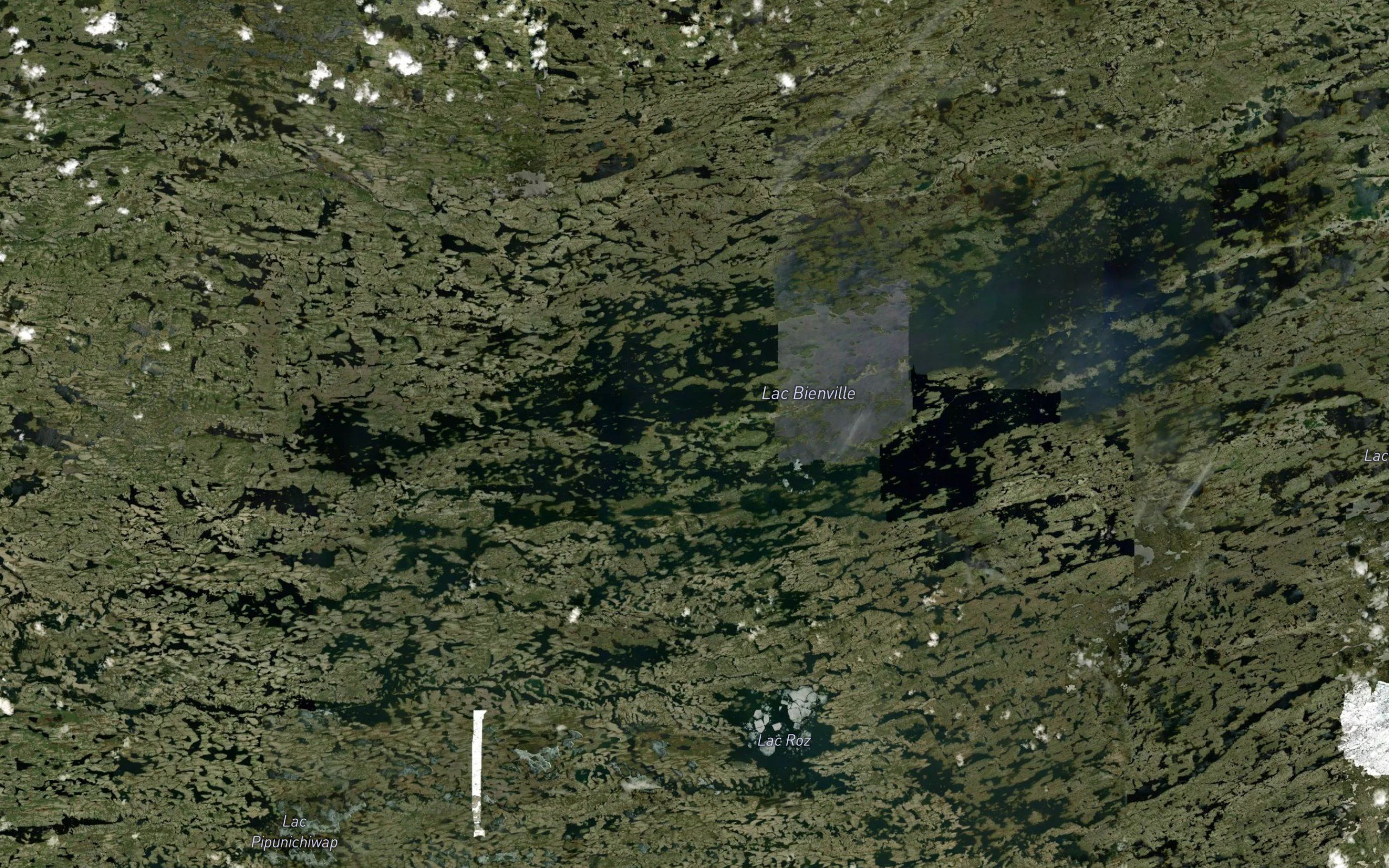 Lac Bienville