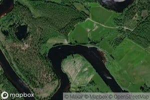 Ranniskonelo