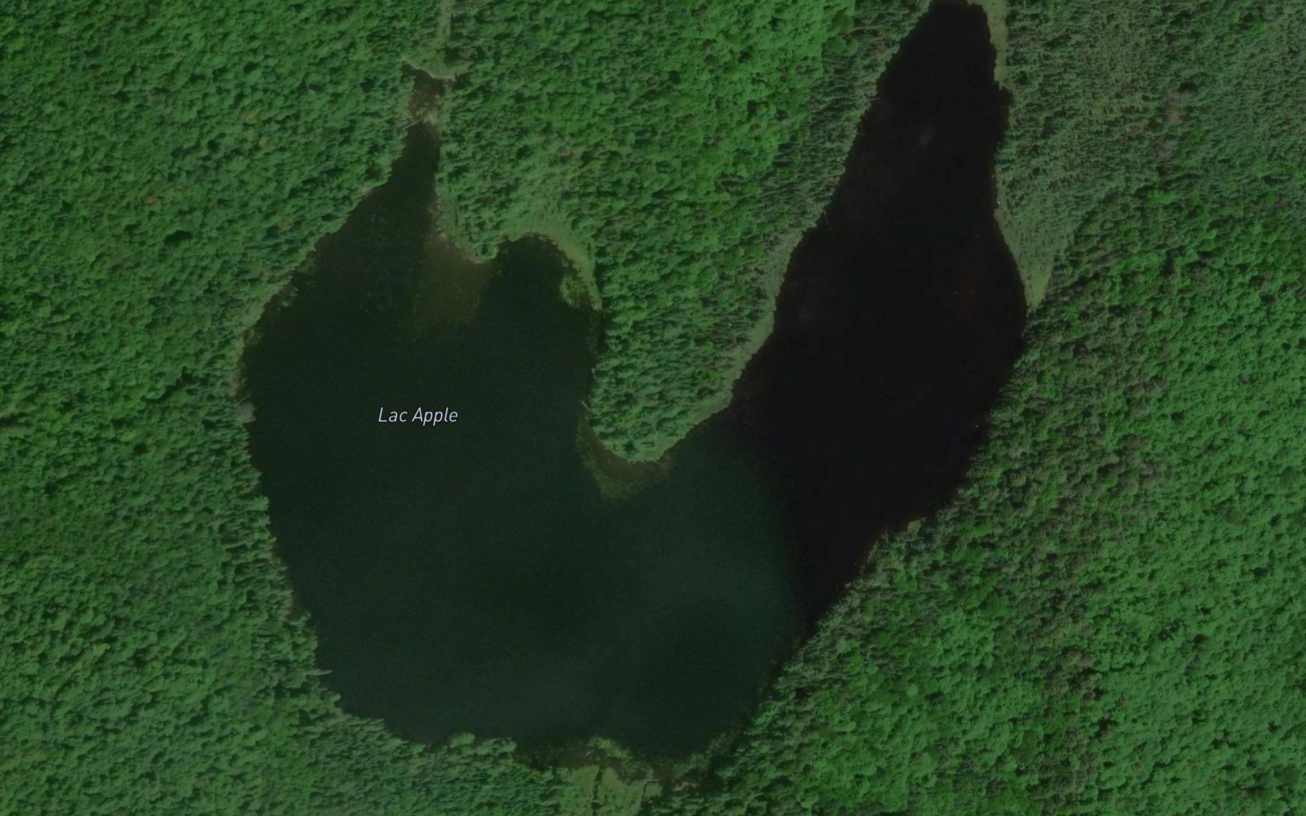 Lac Apple