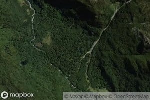 Freeman Burn
